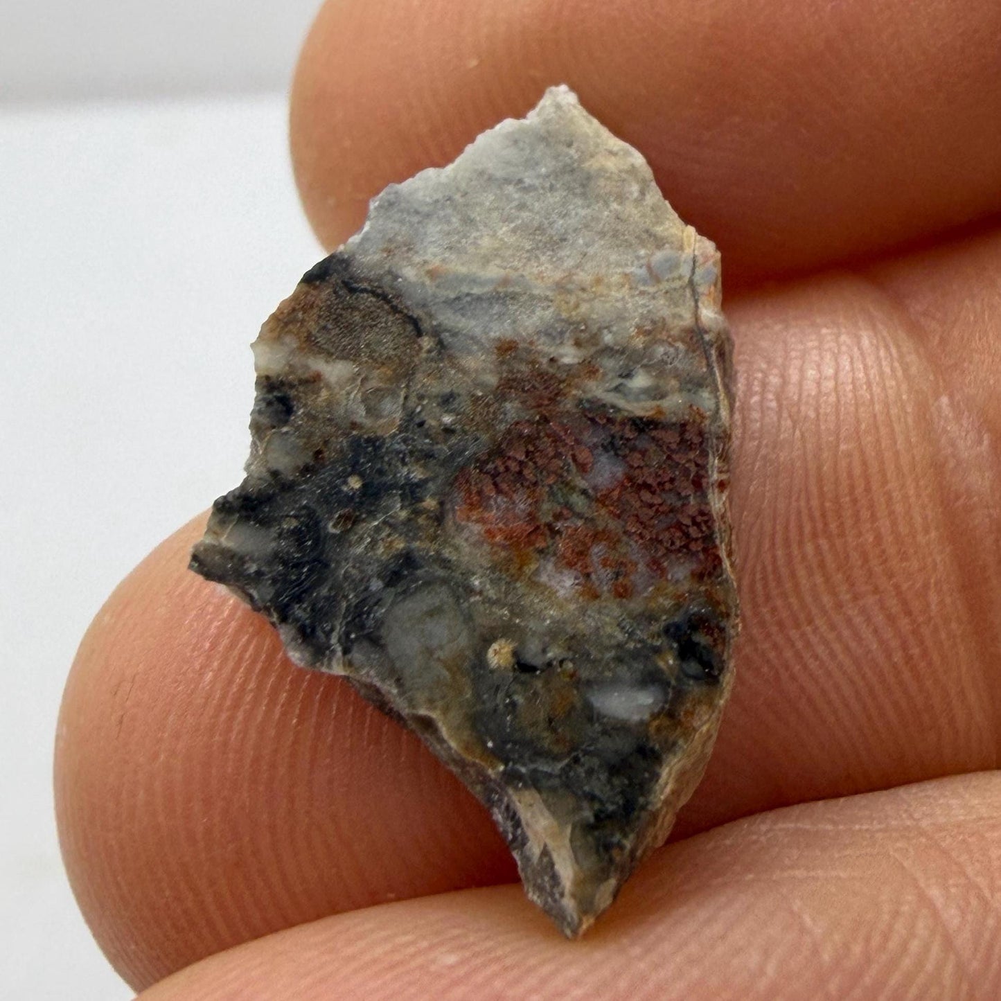 NWA 18045 Lunar Meteorite Slice Pendant, Authentic Moon Rock (Melt Breccia) in a Stainless Steel Window Pendant, 1.39g