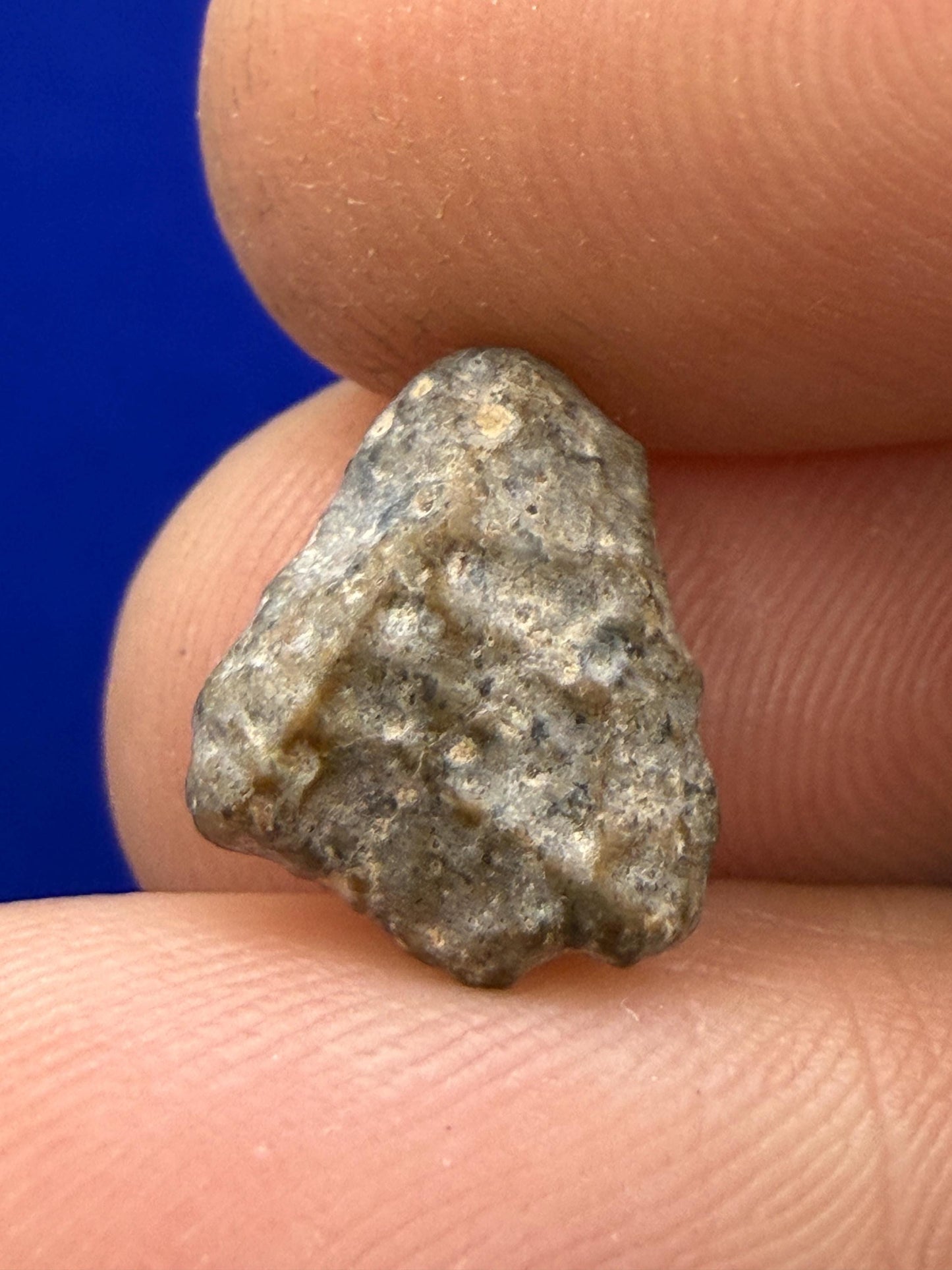 NWA 13974 Lunar Meteorite: Feldspathic Breccia Moon Rock, 0.67 grams