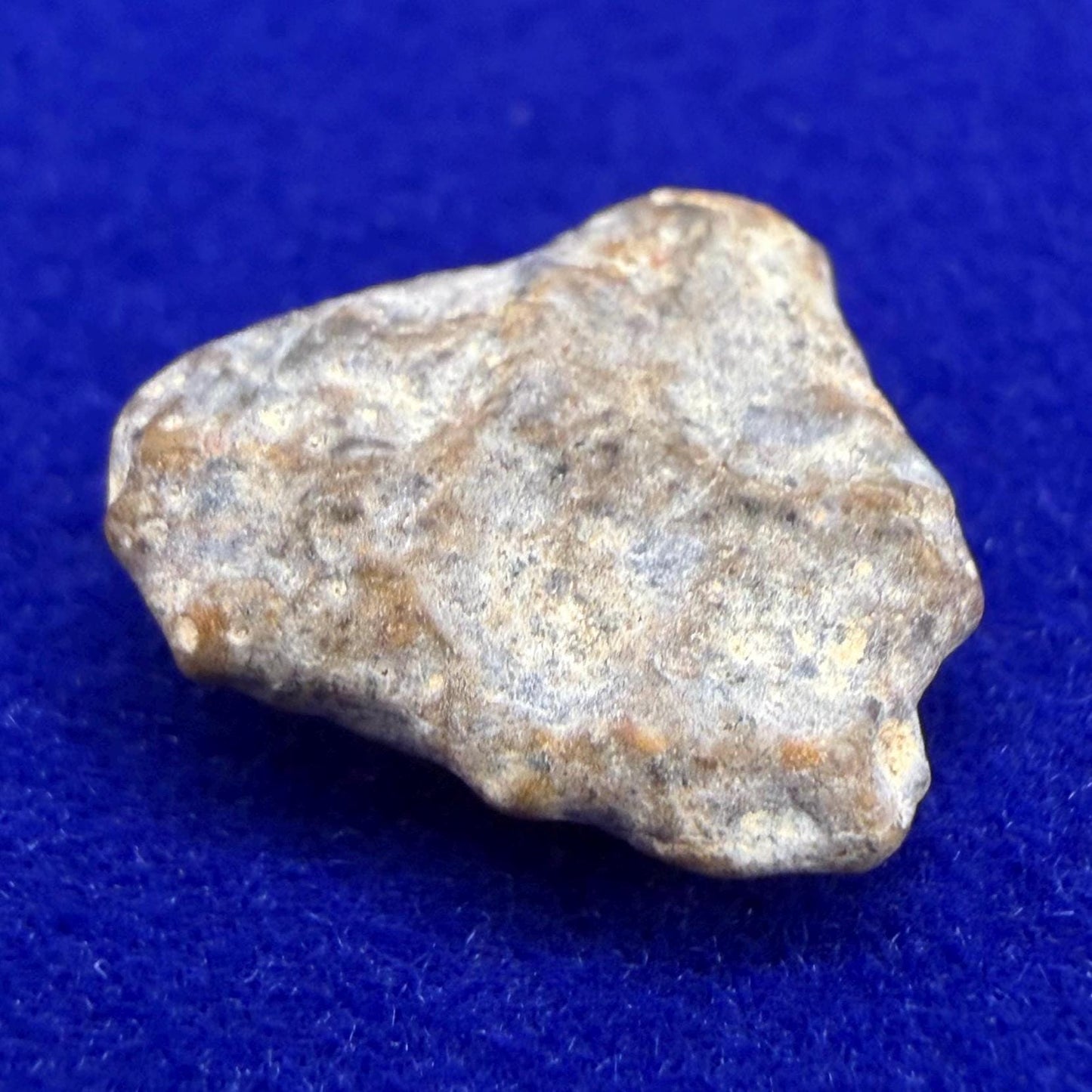 NWA 13974 Lunar Meteorite: Feldspathic Breccia Moon Rock, 0.67 grams