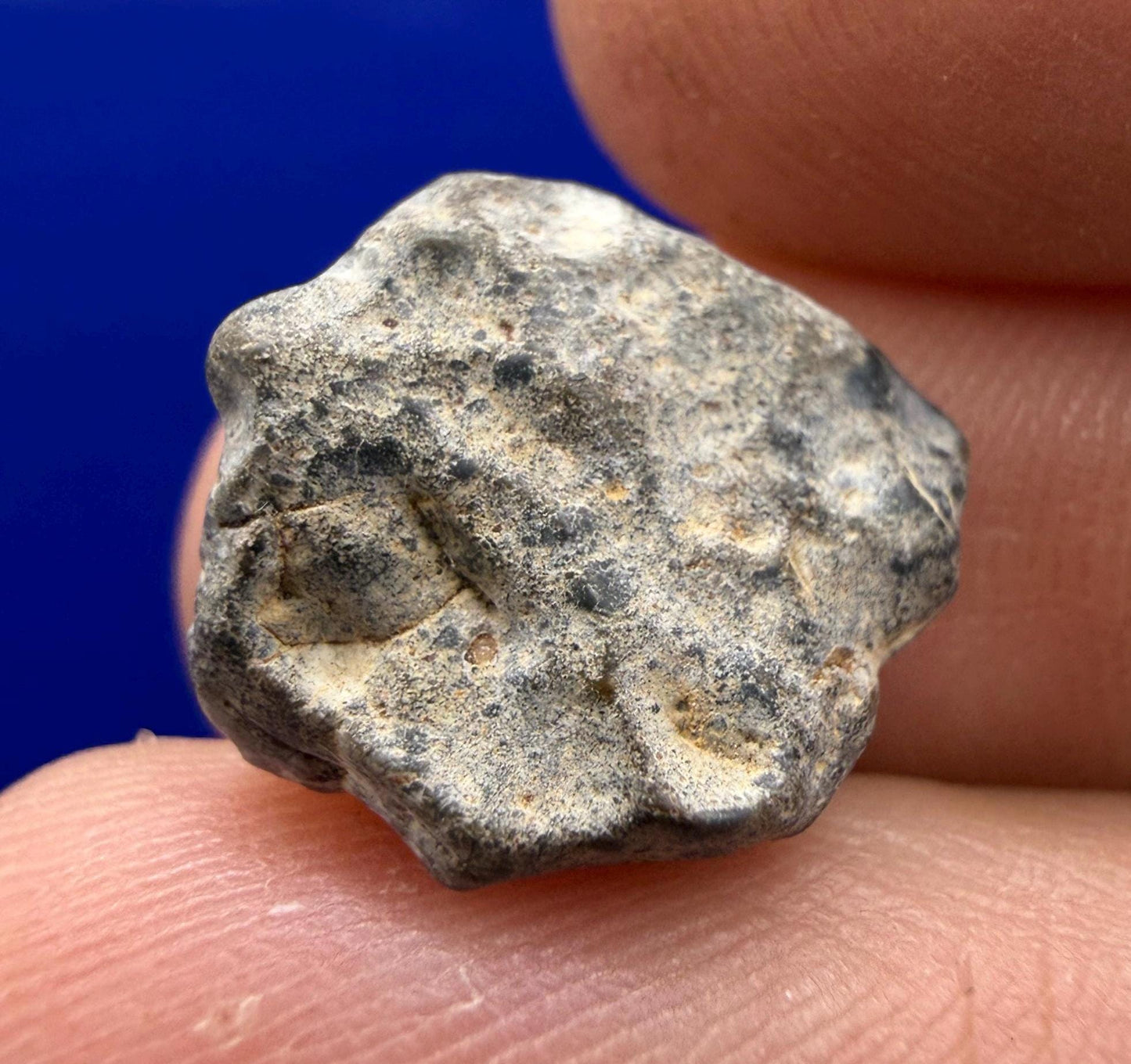 NWA 13974 Lunar Meteorite: Feldspathic Breccia, Moon Rock, 1.37 grams