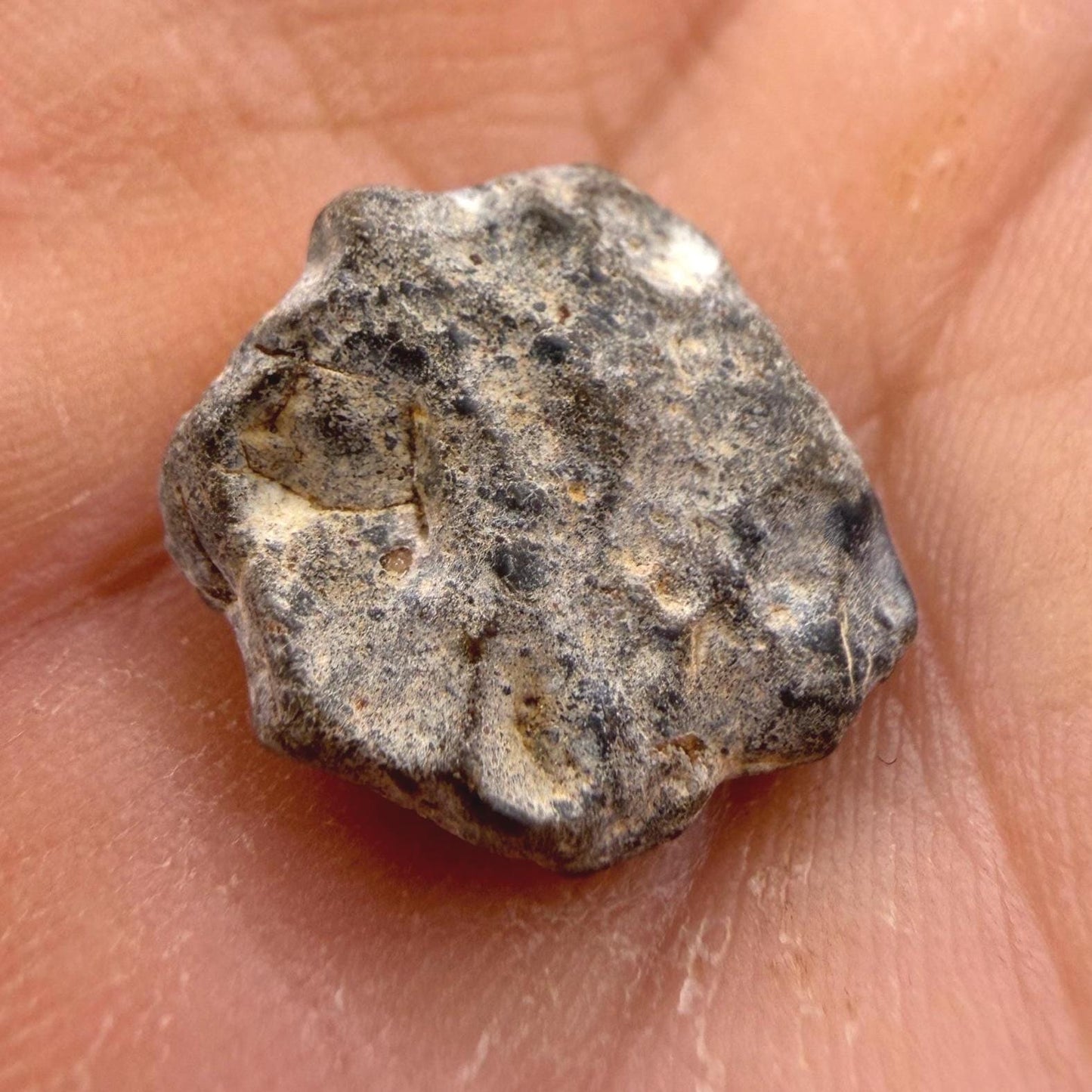 NWA 13974 Lunar Meteorite: Feldspathic Breccia, Moon Rock, 1.37 grams