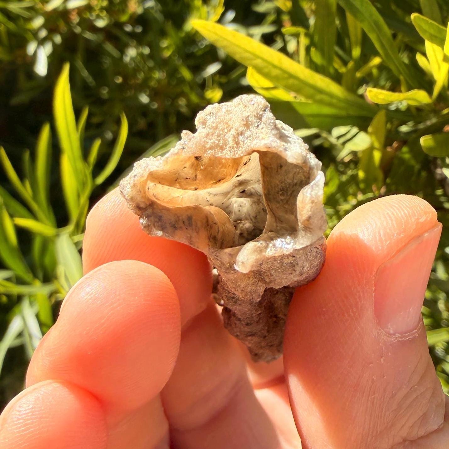 Sahara Desert Fulgurite: Fossilized Lightning Rock, Energy Work, 9.46 grams