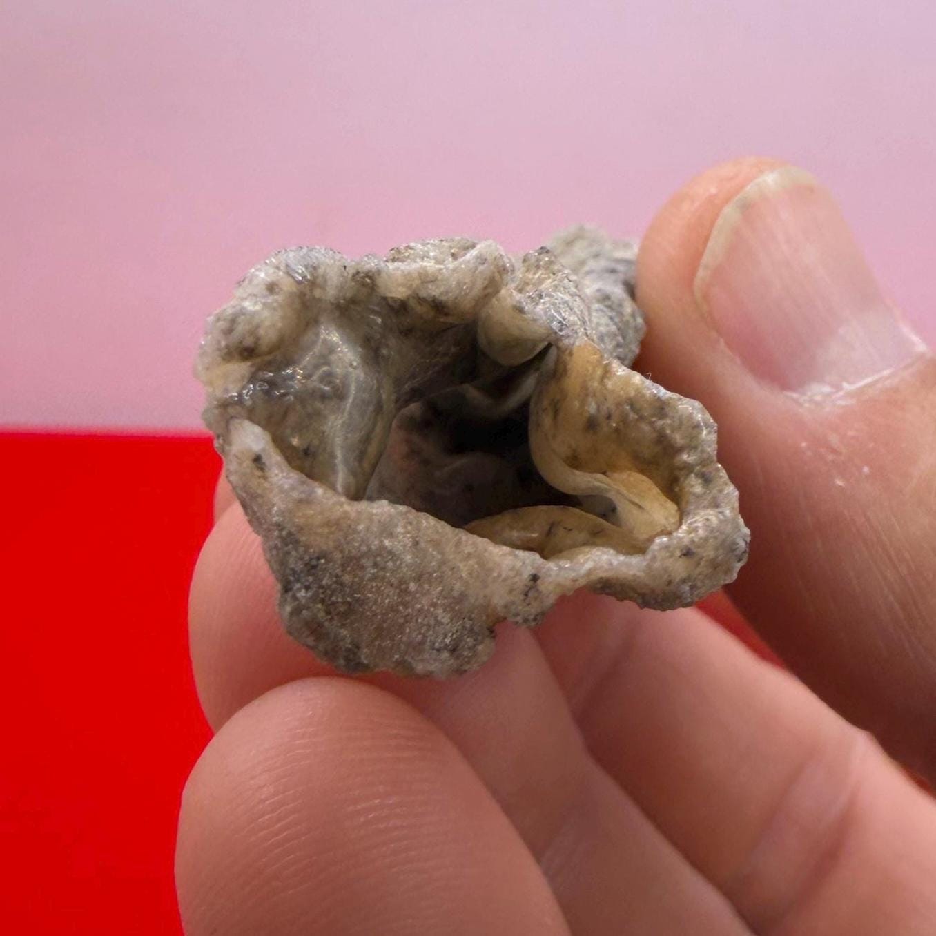 Sahara Desert Fulgurite: Fossilized Lightning Rock, Energy Work, 9.46 grams