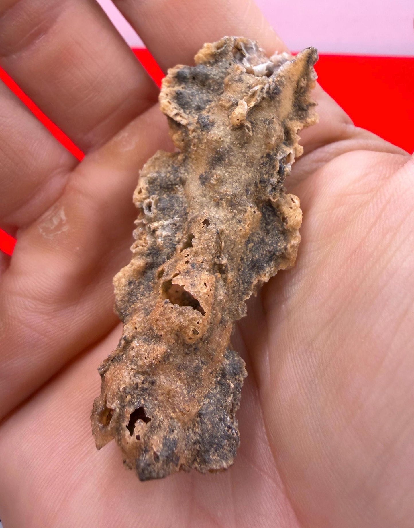 Sahara Desert Fulgurite: Fossilized Lightning Rock, Energy Work, 4.82 grams