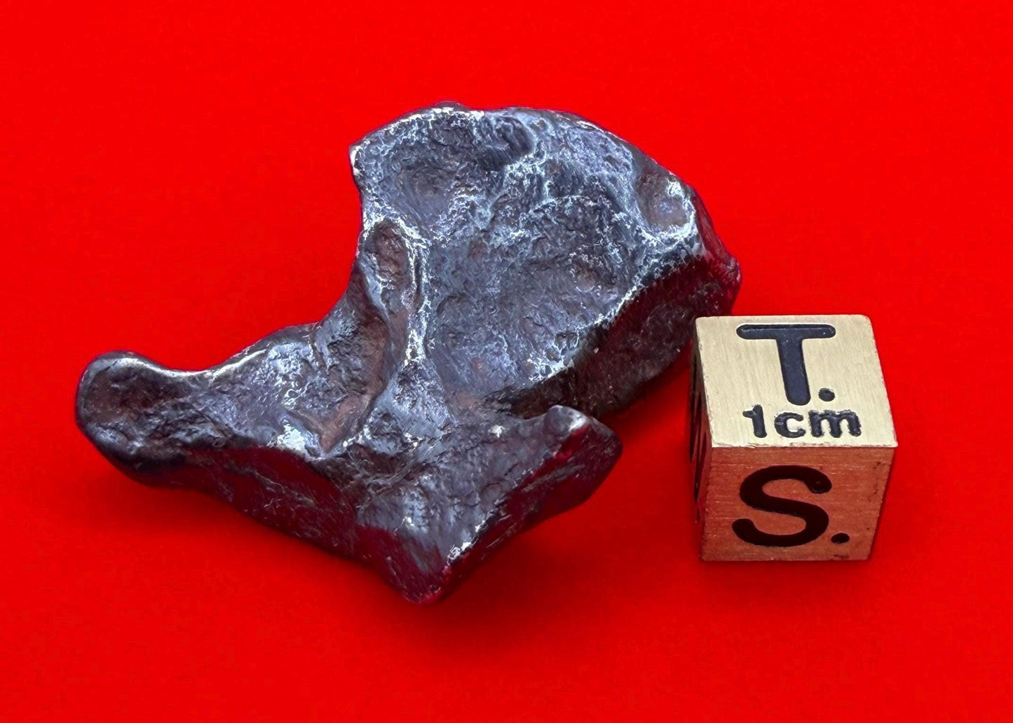 Agoudal Iron Meteorite Specimen: Sculptural Meteorite, Authentic Meteorite, IIAB Hexahedrite, 33.86 grams