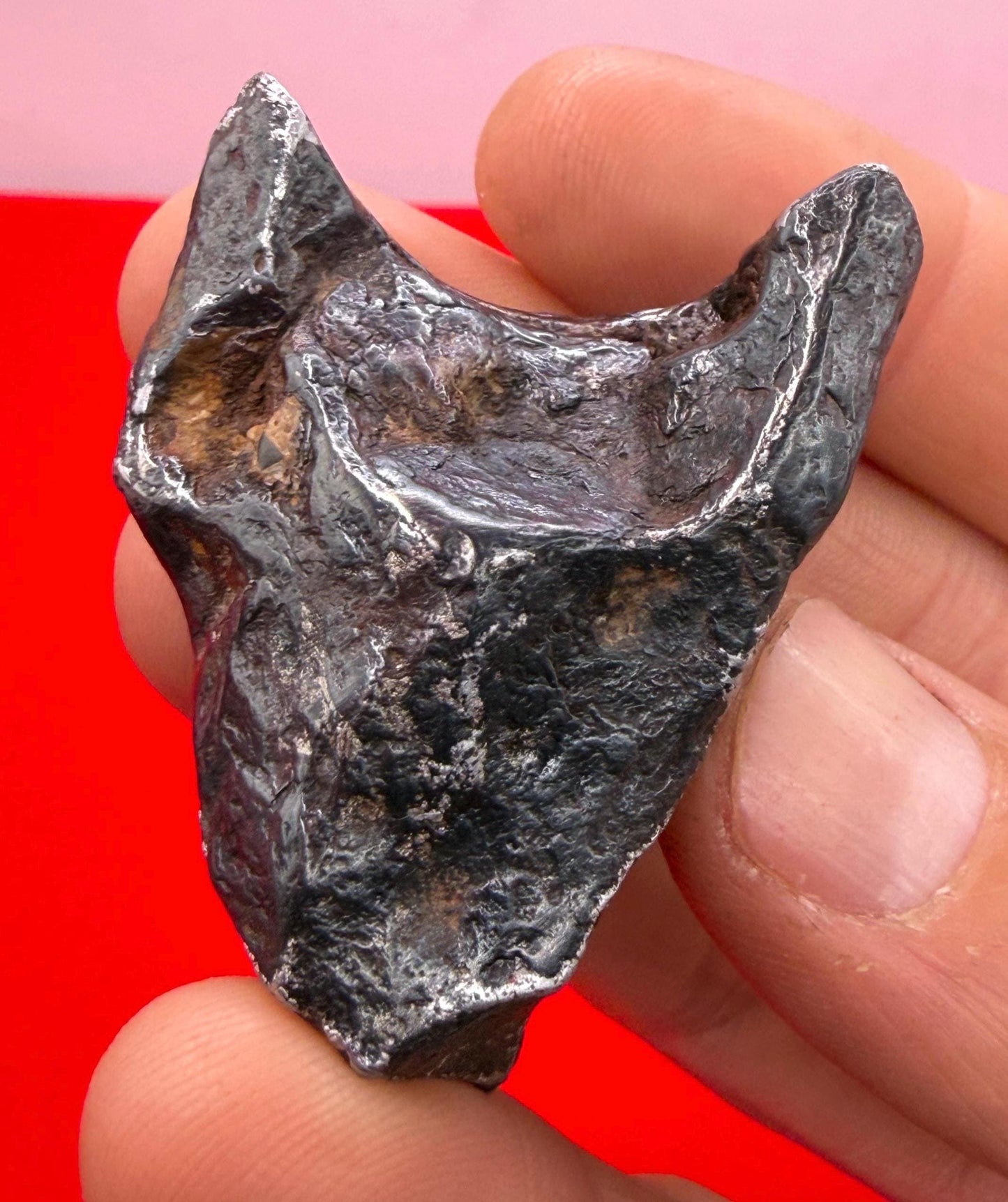 Agoudal Iron Meteorite Specimen: Sculptural Meteorite, Authentic Meteorite, IIAB Hexahedrite, 80.60 grams