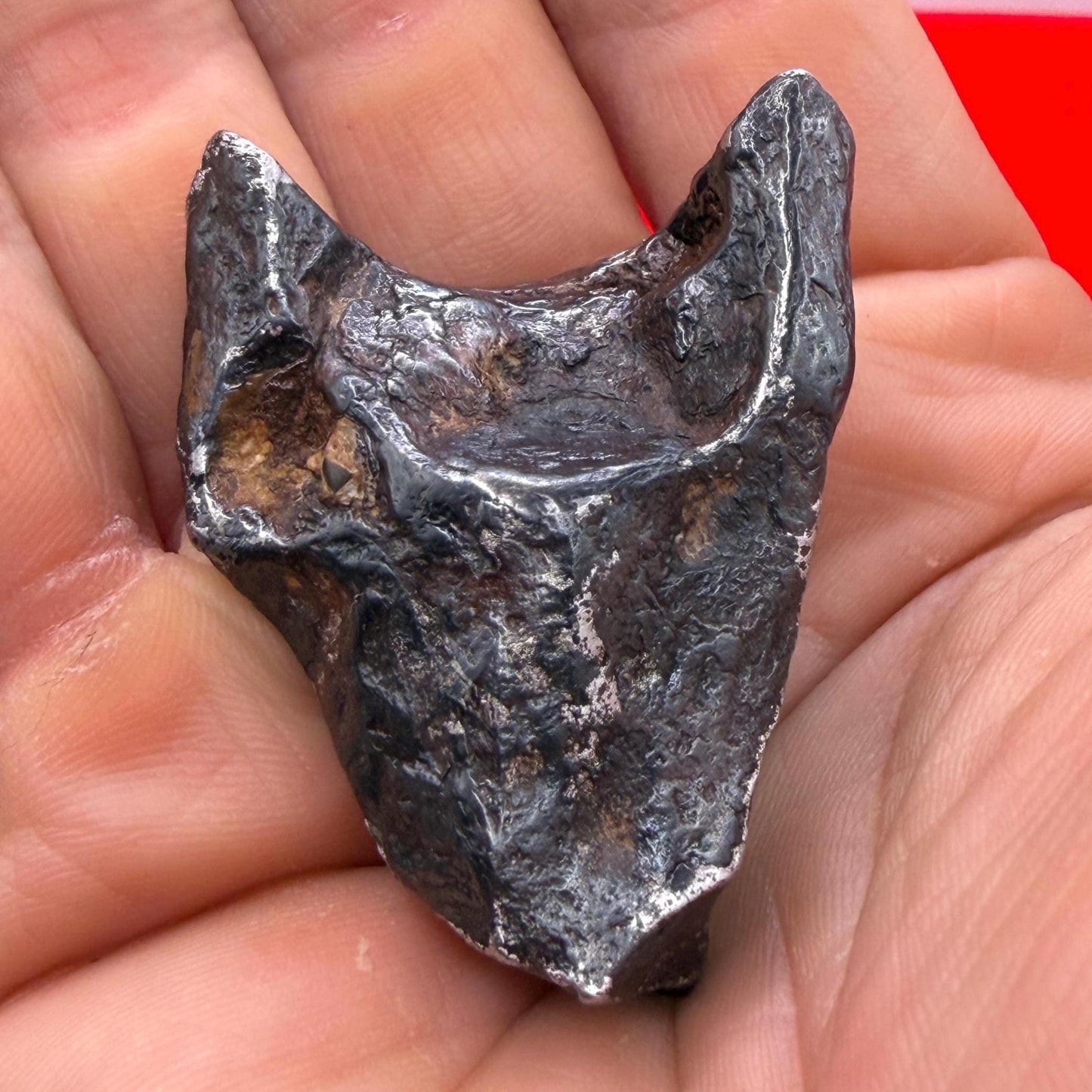 Agoudal Iron Meteorite Specimen: Sculptural Meteorite, Authentic Meteorite, IIAB Hexahedrite, 80.60 grams