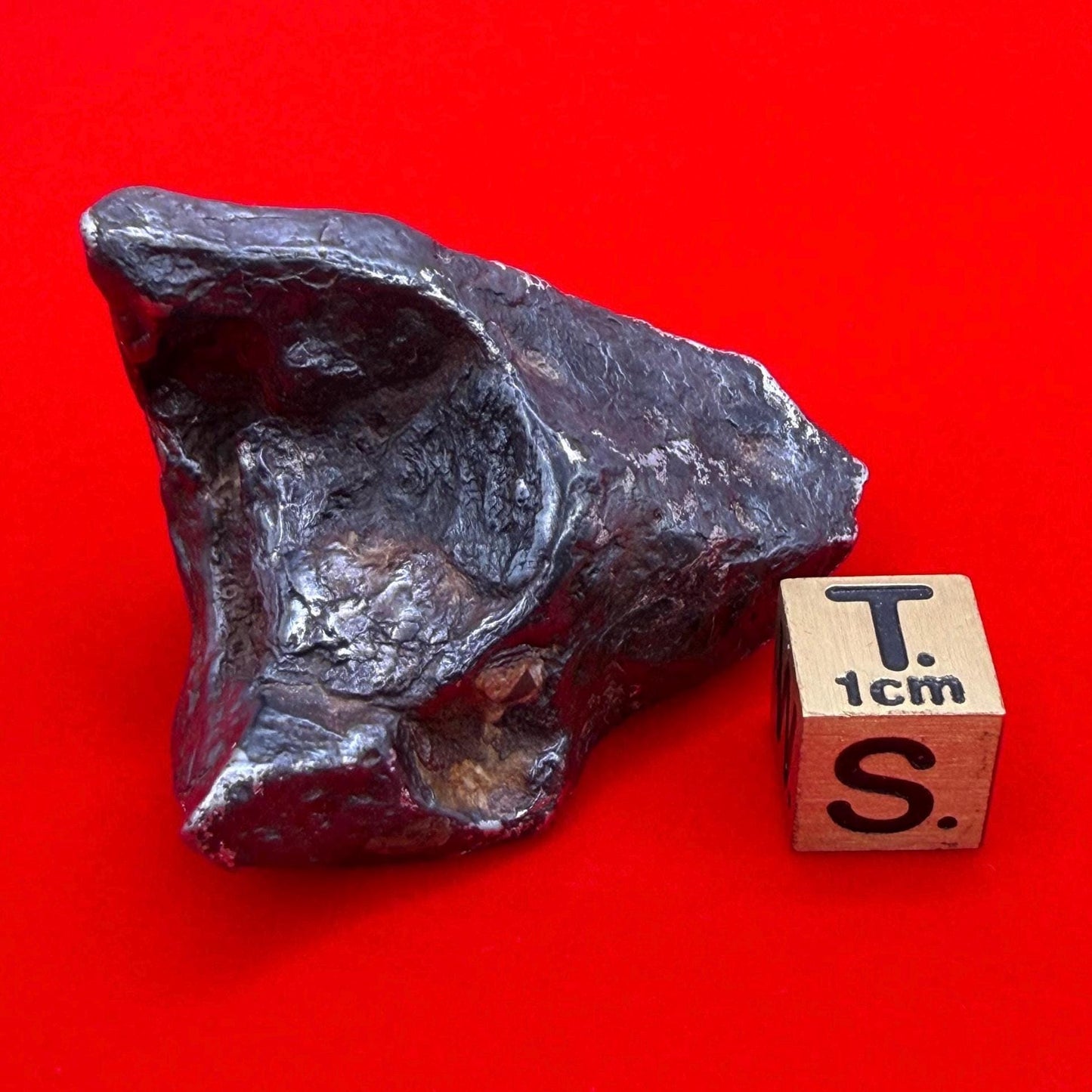 Agoudal Iron Meteorite Specimen: Sculptural Meteorite, Authentic Meteorite, IIAB Hexahedrite, 80.60 grams