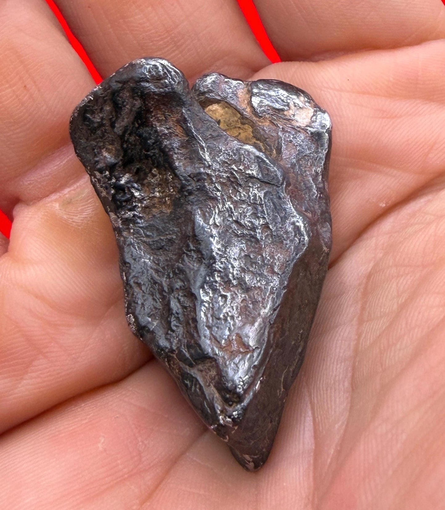 Agoudal Iron Meteorite Specimen: Sculptural Meteorite, Authentic Meteorite, IIAB Hexahedrite, 49.29 grams