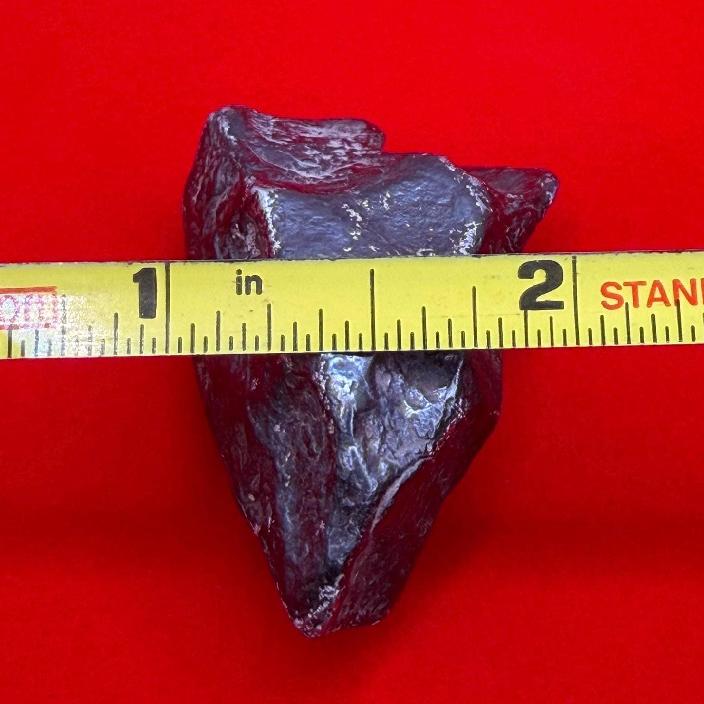 Agoudal Iron Meteorite Specimen: Sculptural Meteorite, Authentic Meteorite, IIAB Hexahedrite, 49.29 grams