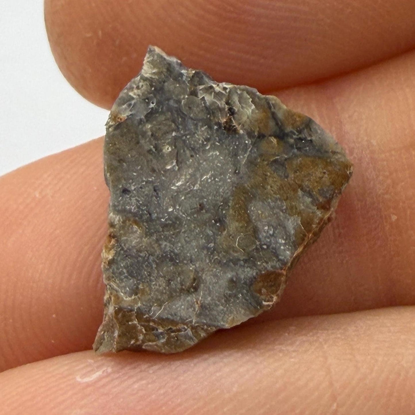 NWA 18045 Lunar Meteorite Slice, Newly Classified, Translucent, Authentic Moon Rock, Melt Breccia, 0.93 grams