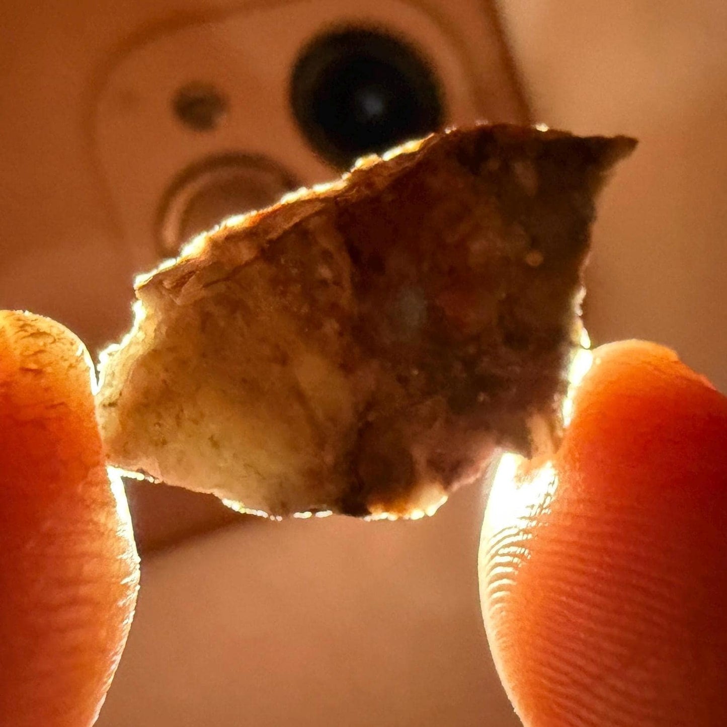 NWA 18045 Lunar Meteorite Slice Pendant, Authentic Moon Rock (Melt Breccia) in a Stainless Steel Window Pendant, 1.39g