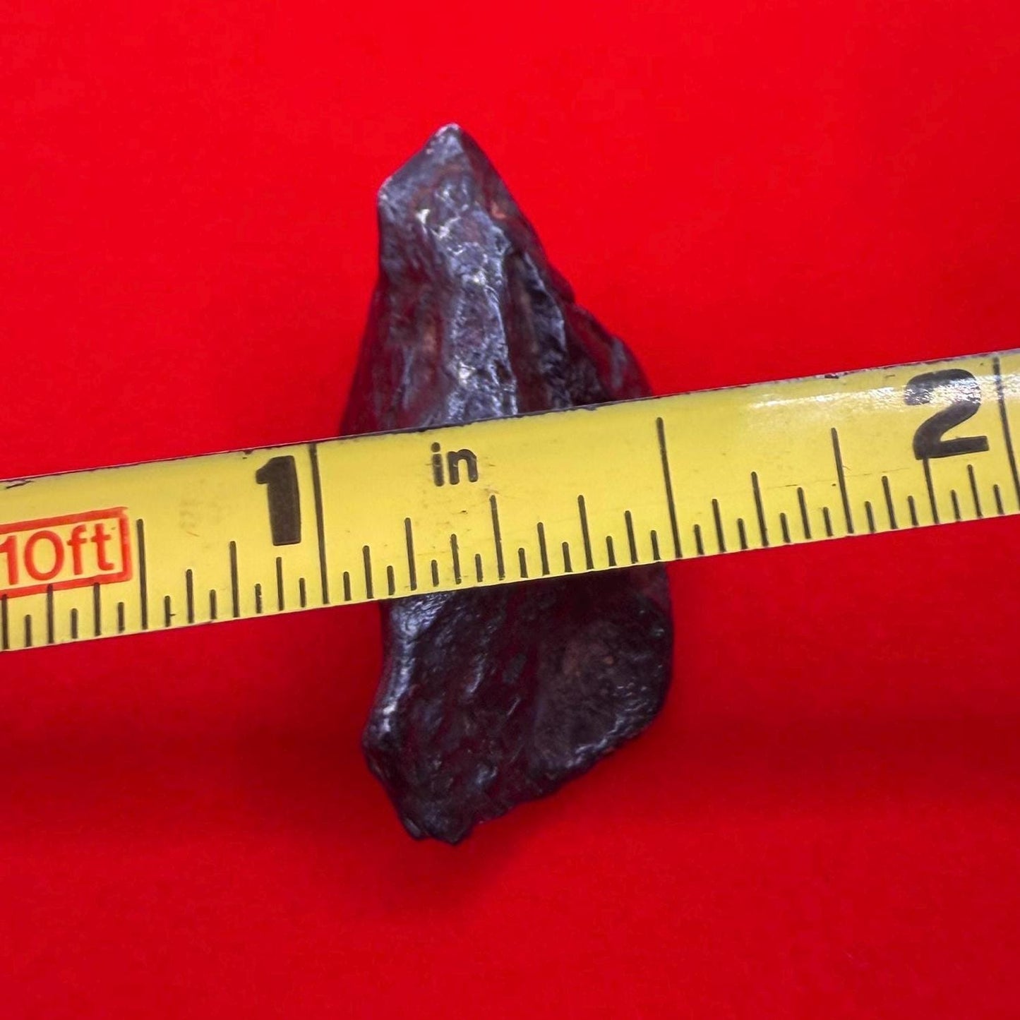Agoudal Iron Meteorite Specimen: Sculptural Meteorite, Authentic Meteorite, IIAB Hexahedrite, 11.07 grams