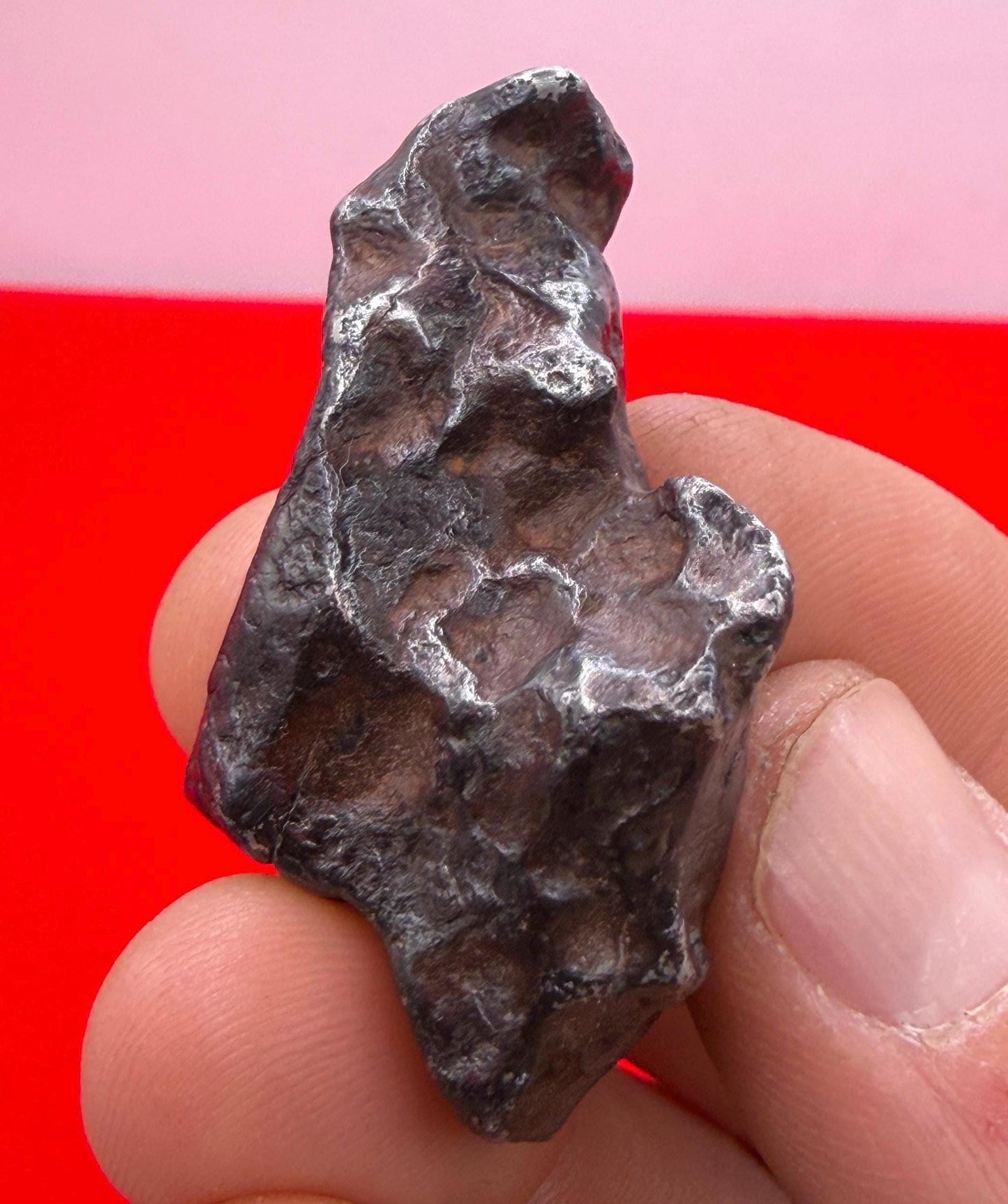 Agoudal Iron Meteorite Specimen: Sculptural Meteorite, Authentic Meteorite, IIAB Hexahedrite, 43.29 grams