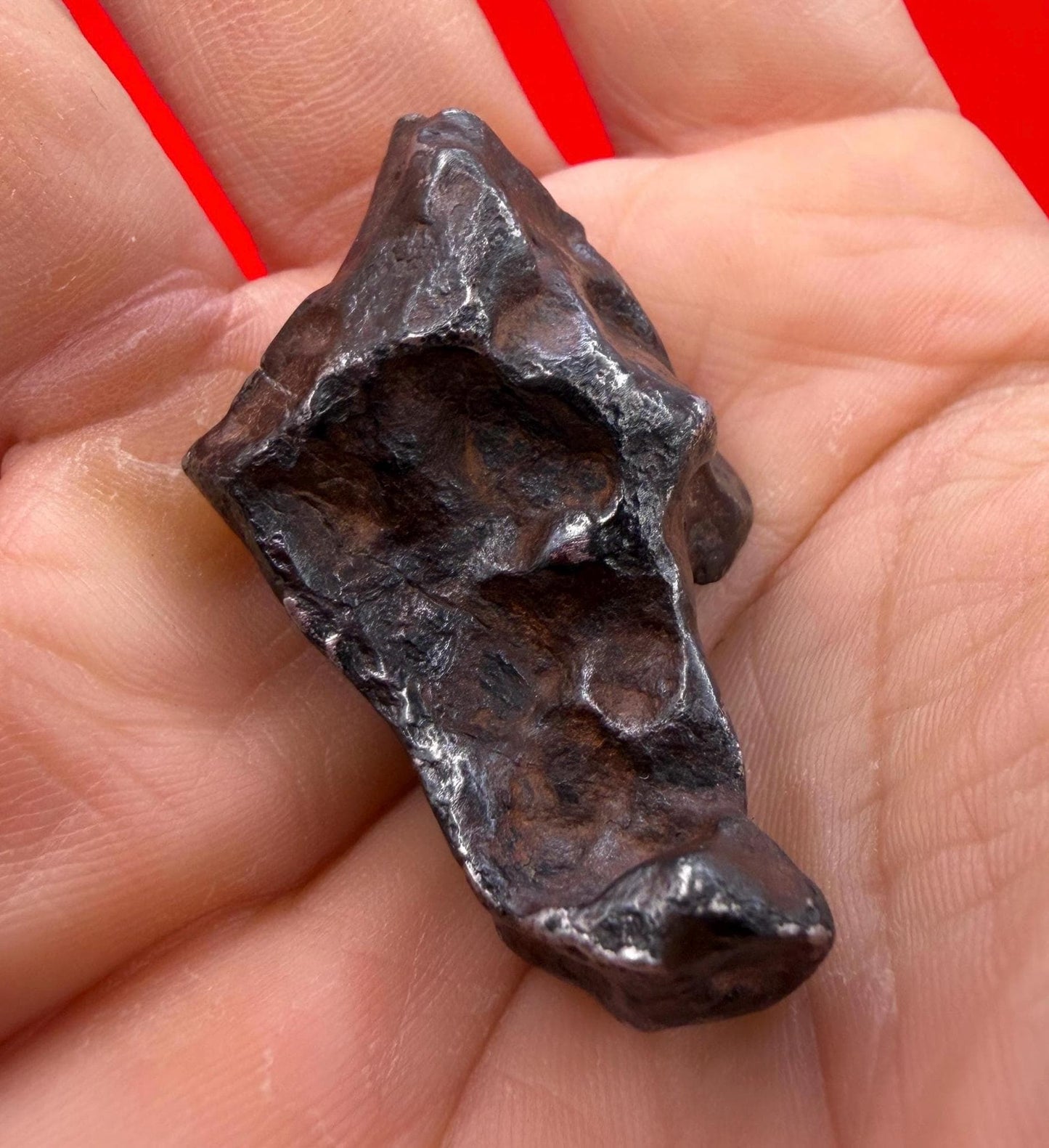 Agoudal Iron Meteorite Specimen: Sculptural Meteorite, Authentic Meteorite, IIAB Hexahedrite, 43.29 grams