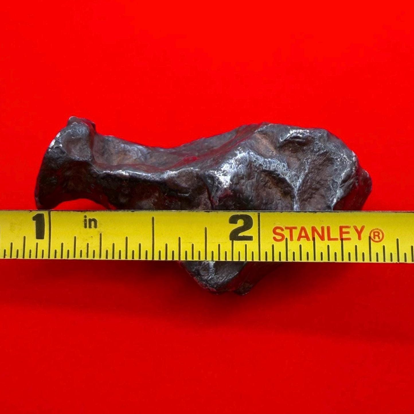 Agoudal Iron Meteorite Specimen: Sculptural Meteorite, Authentic Meteorite, IIAB Hexahedrite, 43.29 grams