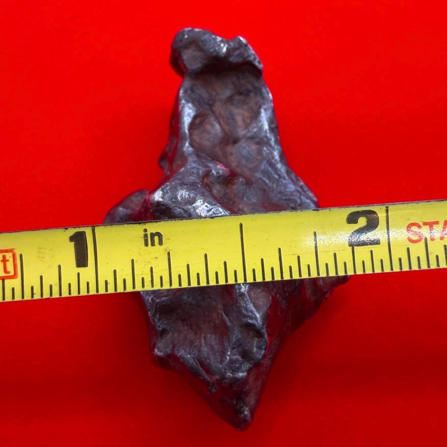 Agoudal Iron Meteorite Specimen: Sculptural Meteorite, Authentic Meteorite, IIAB Hexahedrite, 43.29 grams