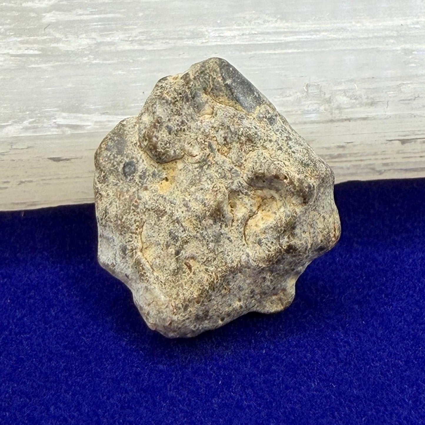 NWA 13974 Lunar Meteorite: Feldspathic Breccia, Moon Rock, 1.37 grams