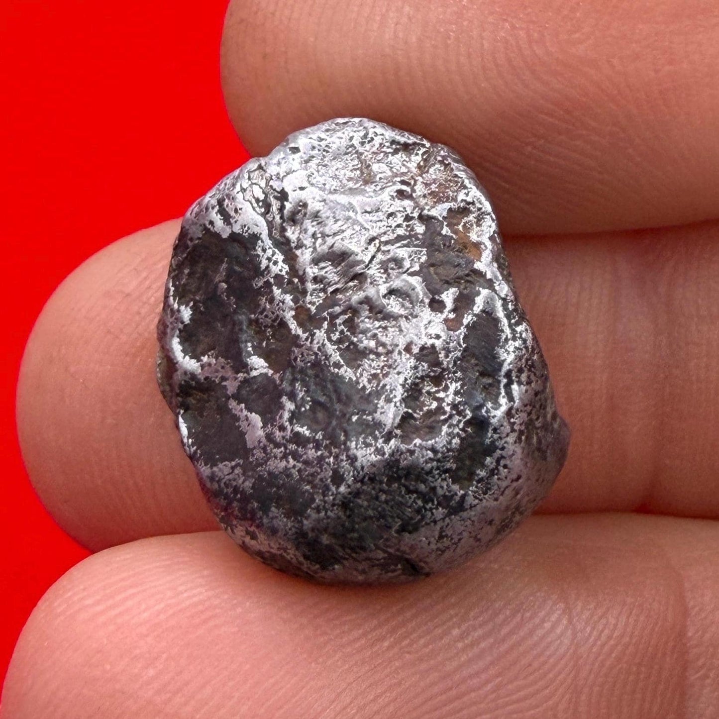 Sikhote-Alin Meteorite Specimen: Authentic Iron Meteorite, 12.33 grams