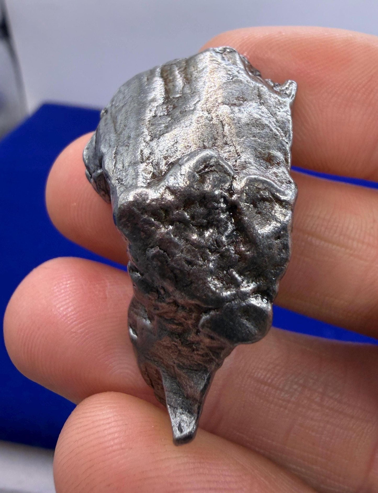 Aletai Iron-Nickel Meteorite Specimen: Astronomy Gift, COA, 40.65g