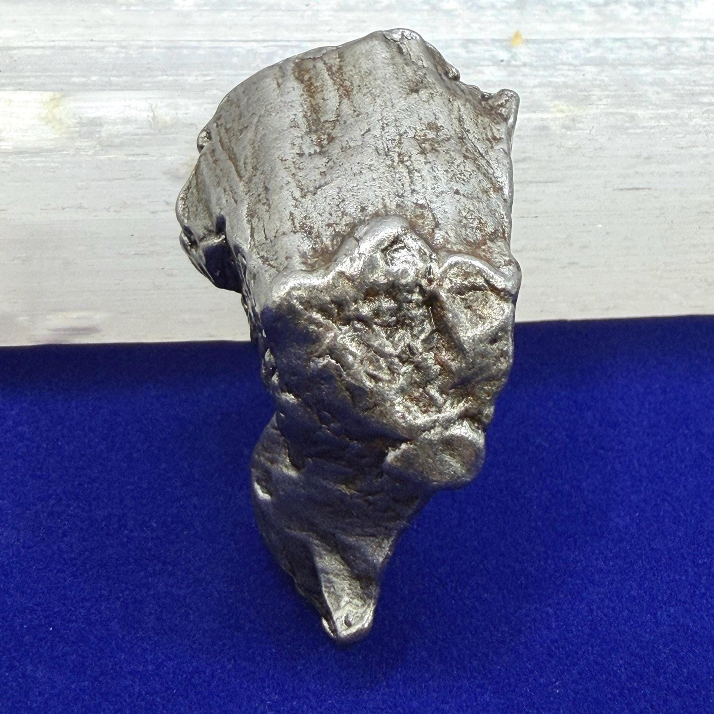 Aletai Iron-Nickel Meteorite Specimen: Astronomy Gift, COA, 40.65g