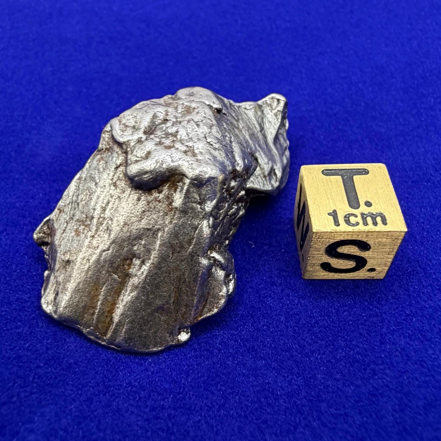 Aletai Iron-Nickel Meteorite Specimen: Astronomy Gift, COA, 40.65g