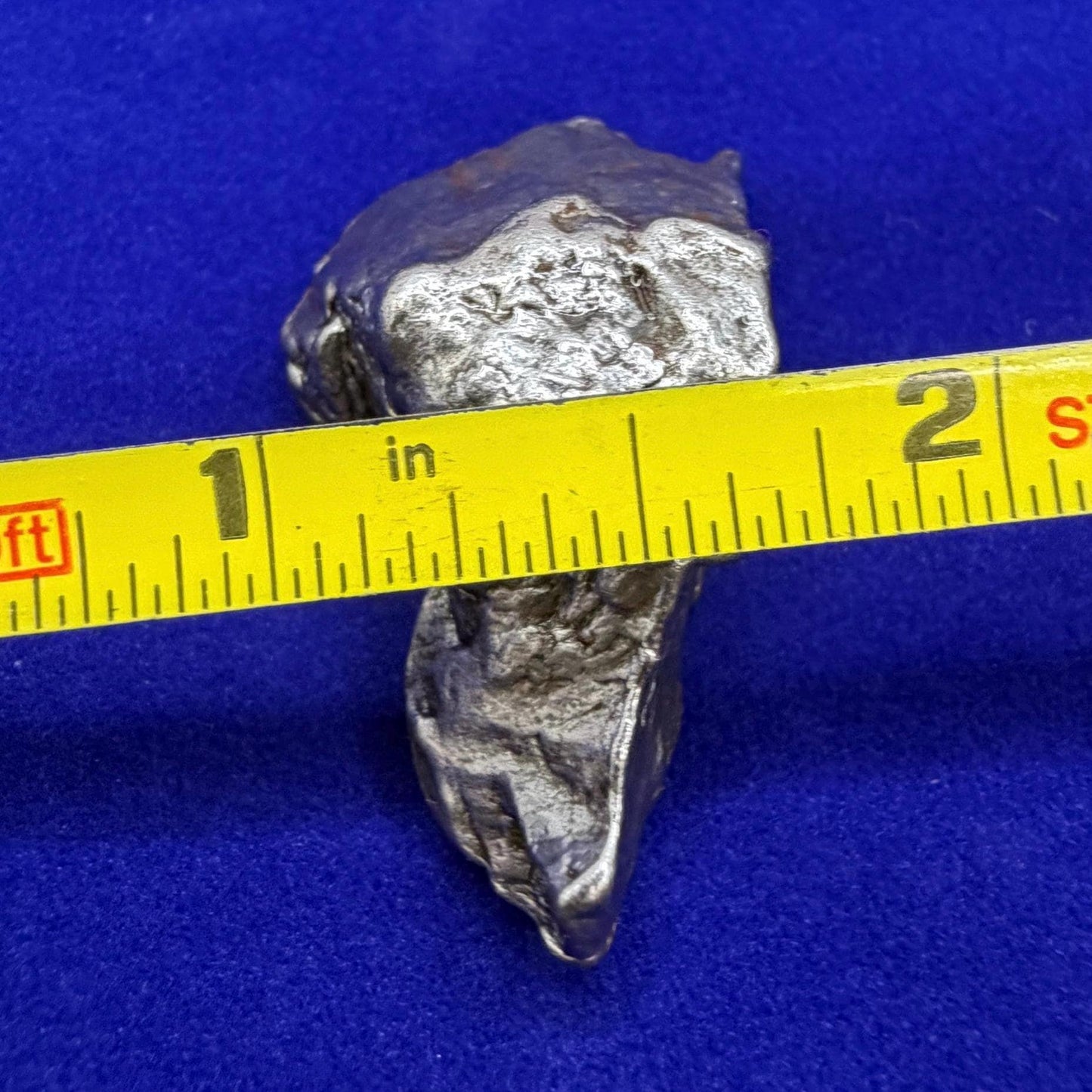 Aletai Iron-Nickel Meteorite Specimen: Astronomy Gift, COA, 40.65g