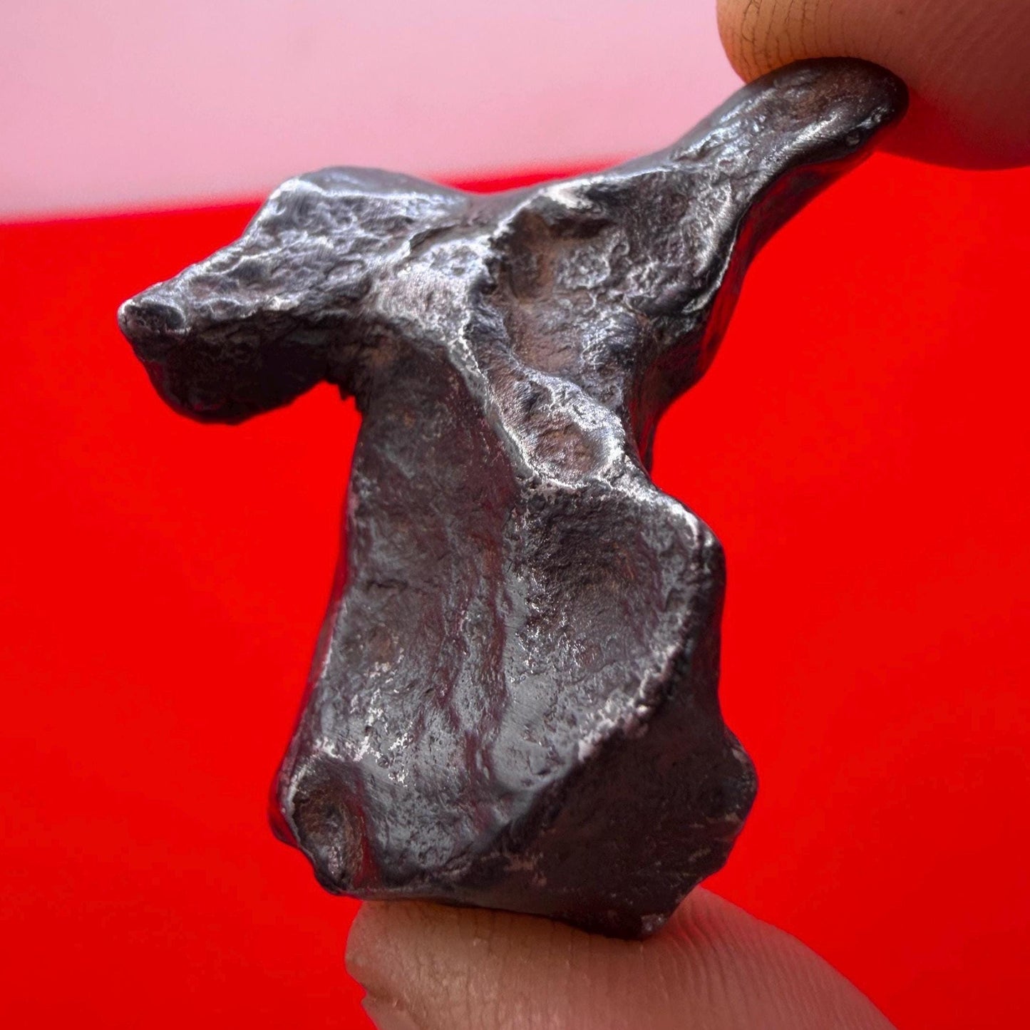 Agoudal Iron Meteorite Specimen: Sculptural Meteorite, Authentic Meteorite, IIAB Hexahedrite, 33.86 grams