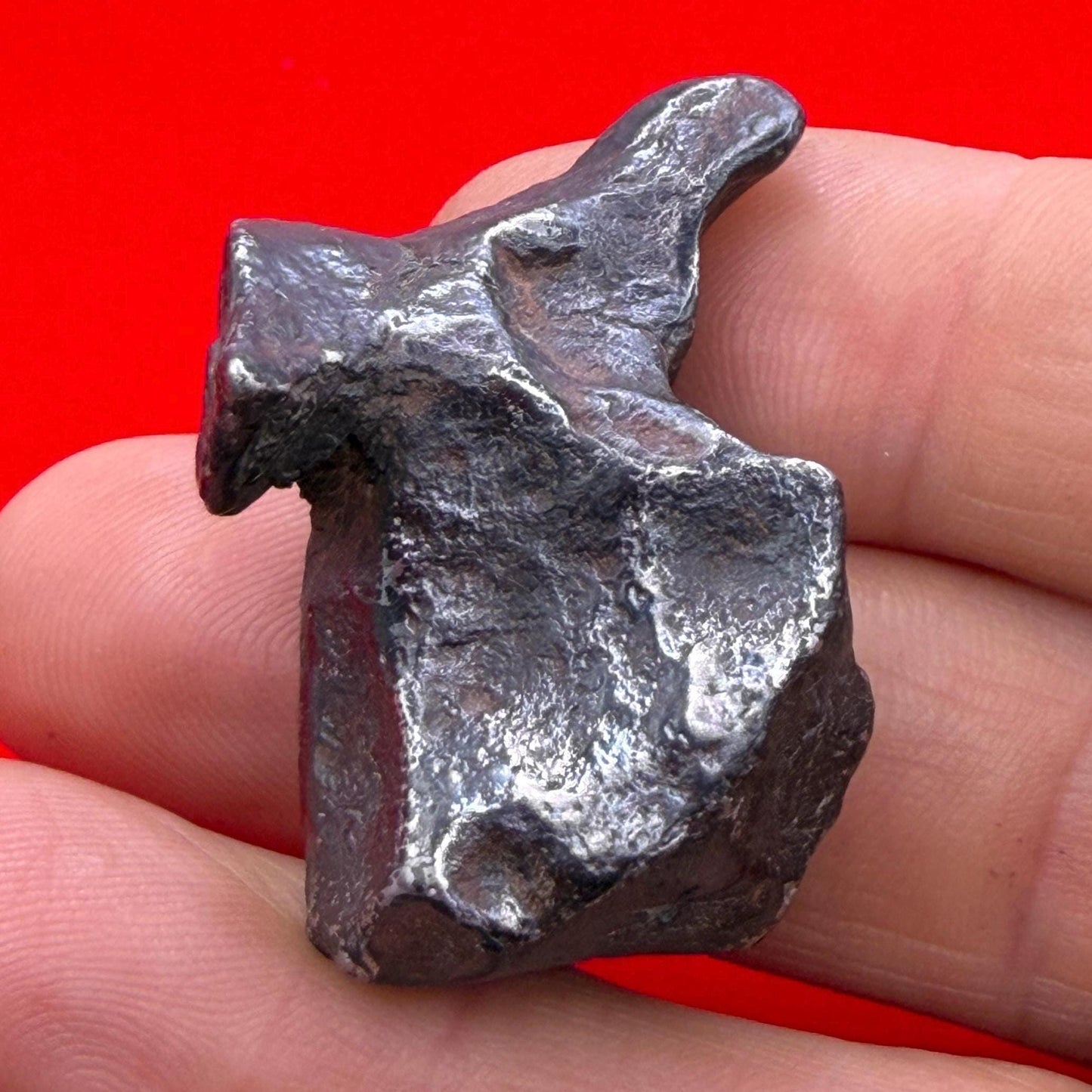 Agoudal Iron Meteorite Specimen: Sculptural Meteorite, Authentic Meteorite, IIAB Hexahedrite, 33.86 grams