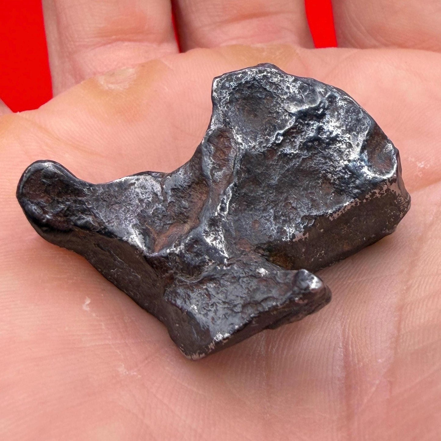 Agoudal Iron Meteorite Specimen: Sculptural Meteorite, Authentic Meteorite, IIAB Hexahedrite, 33.86 grams