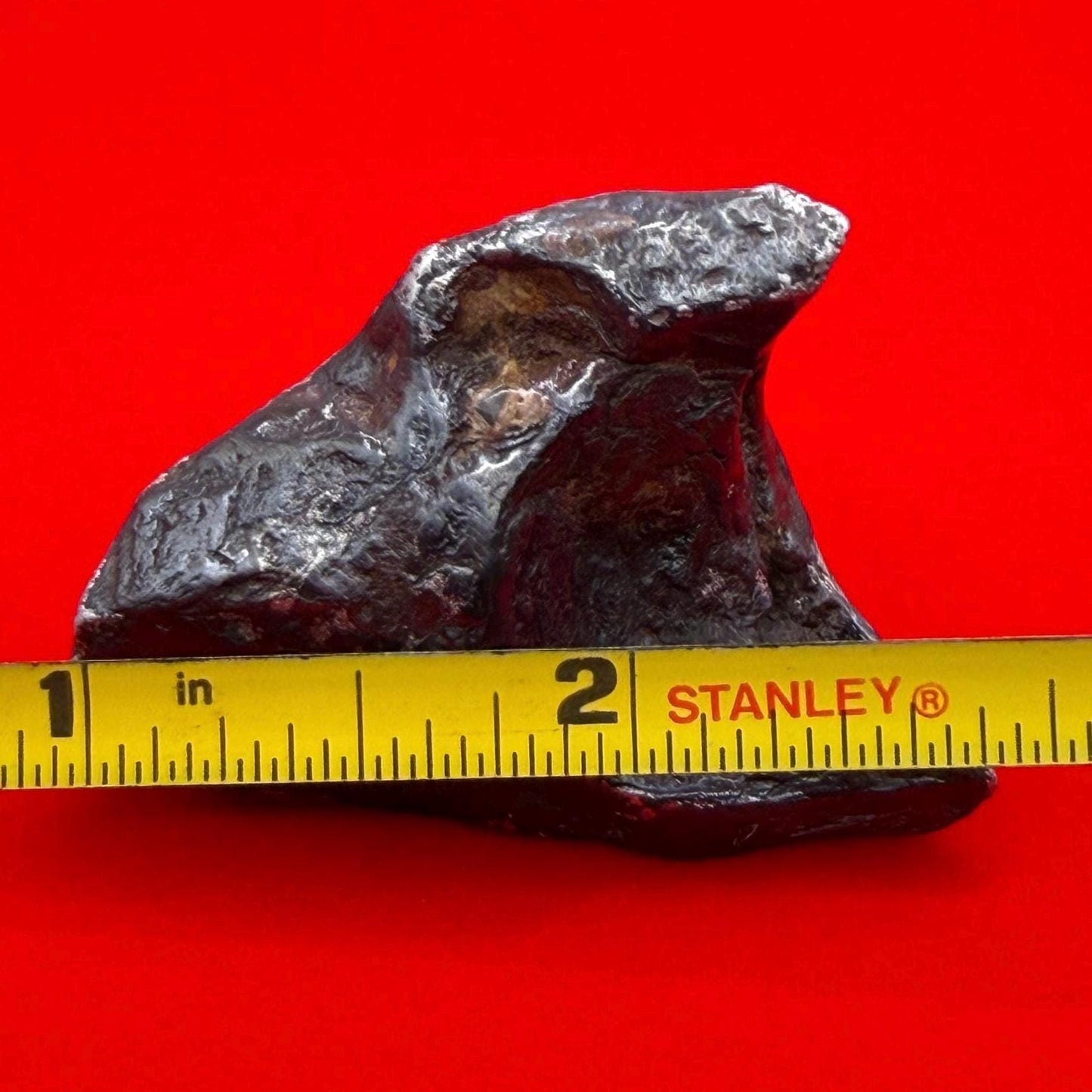 Agoudal Iron Meteorite Specimen: Sculptural Meteorite, Authentic Meteorite, IIAB Hexahedrite, 80.60 grams