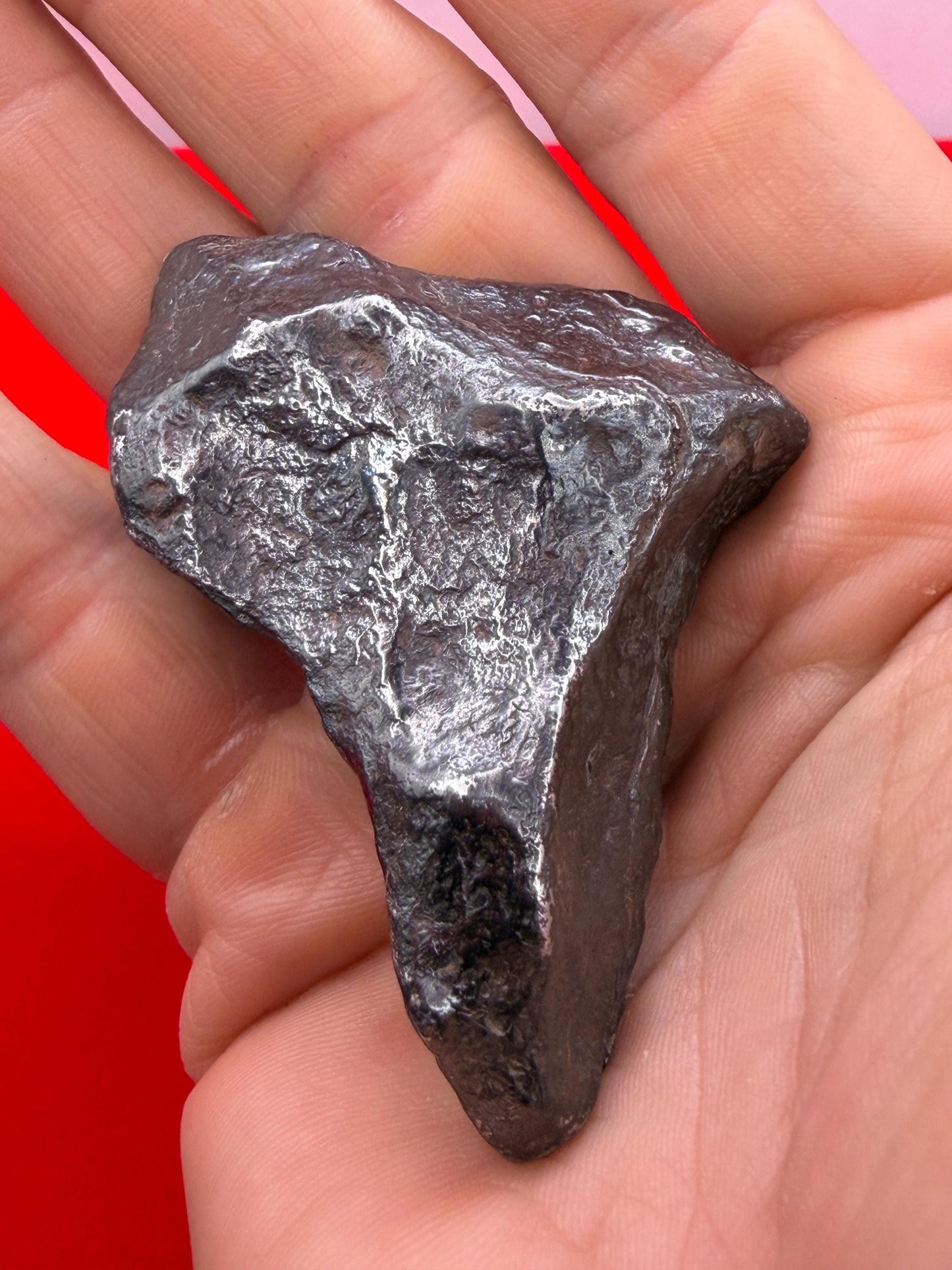 Agoudal Iron Meteorite Specimen: Sculptural Meteorite, Authentic Meteorite, IIAB Hexahedrite, 110.41 grams