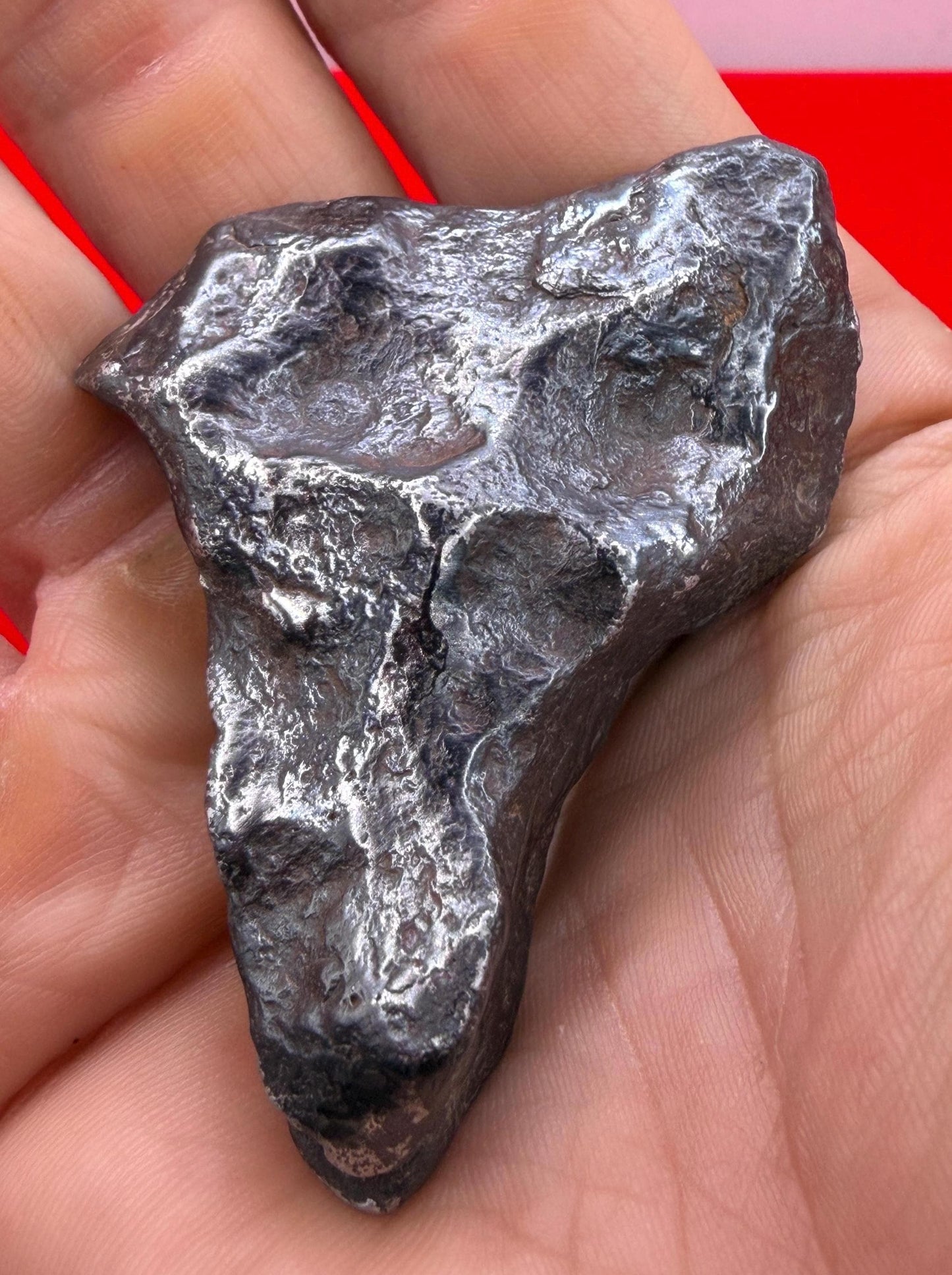 Agoudal Iron Meteorite Specimen: Sculptural Meteorite, Authentic Meteorite, IIAB Hexahedrite, 110.41 grams