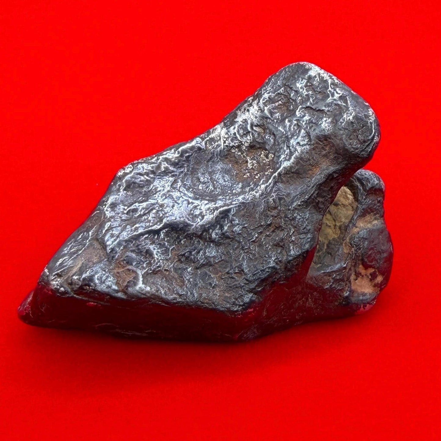 Agoudal Iron Meteorite Specimen: Sculptural Meteorite, Authentic Meteorite, IIAB Hexahedrite, 49.29 grams