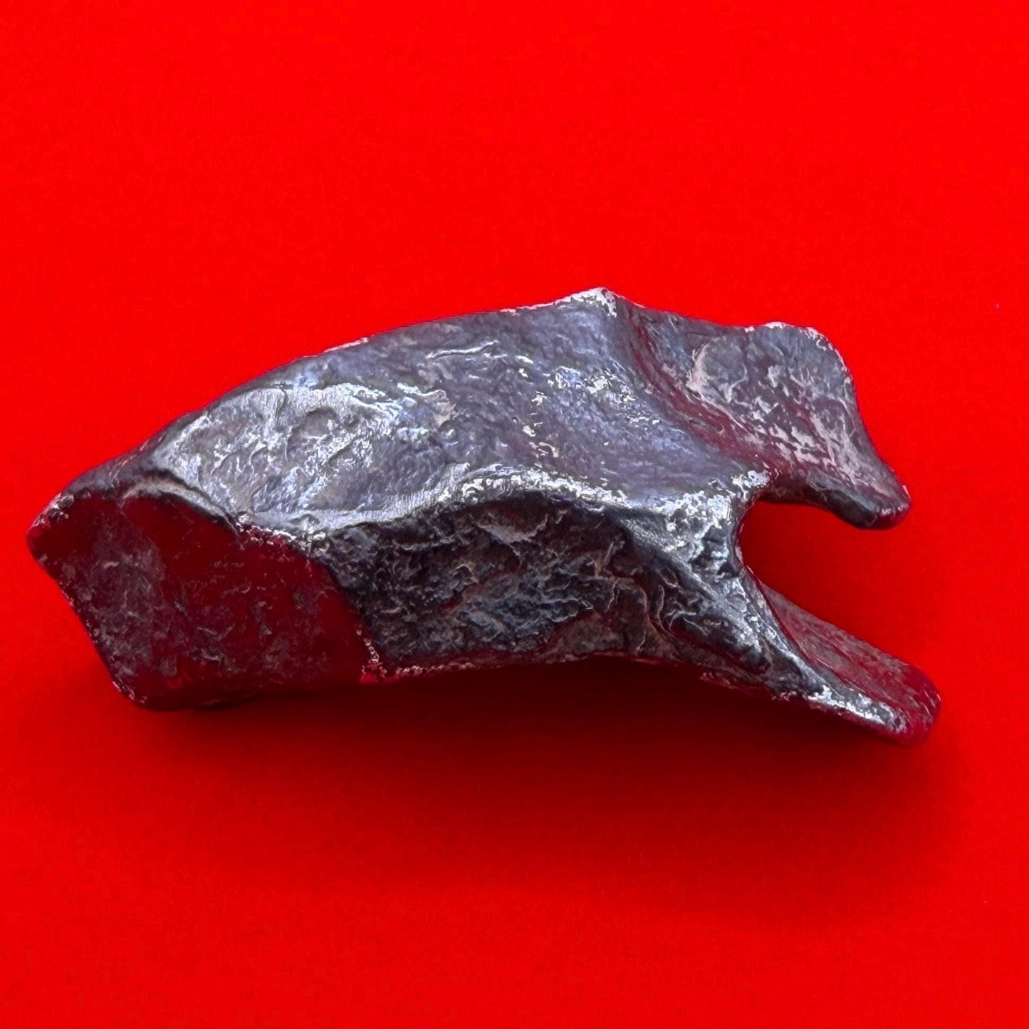 Agoudal Iron Meteorite Specimen: Sculptural Meteorite, Authentic Meteorite, IIAB Hexahedrite, 49.29 grams