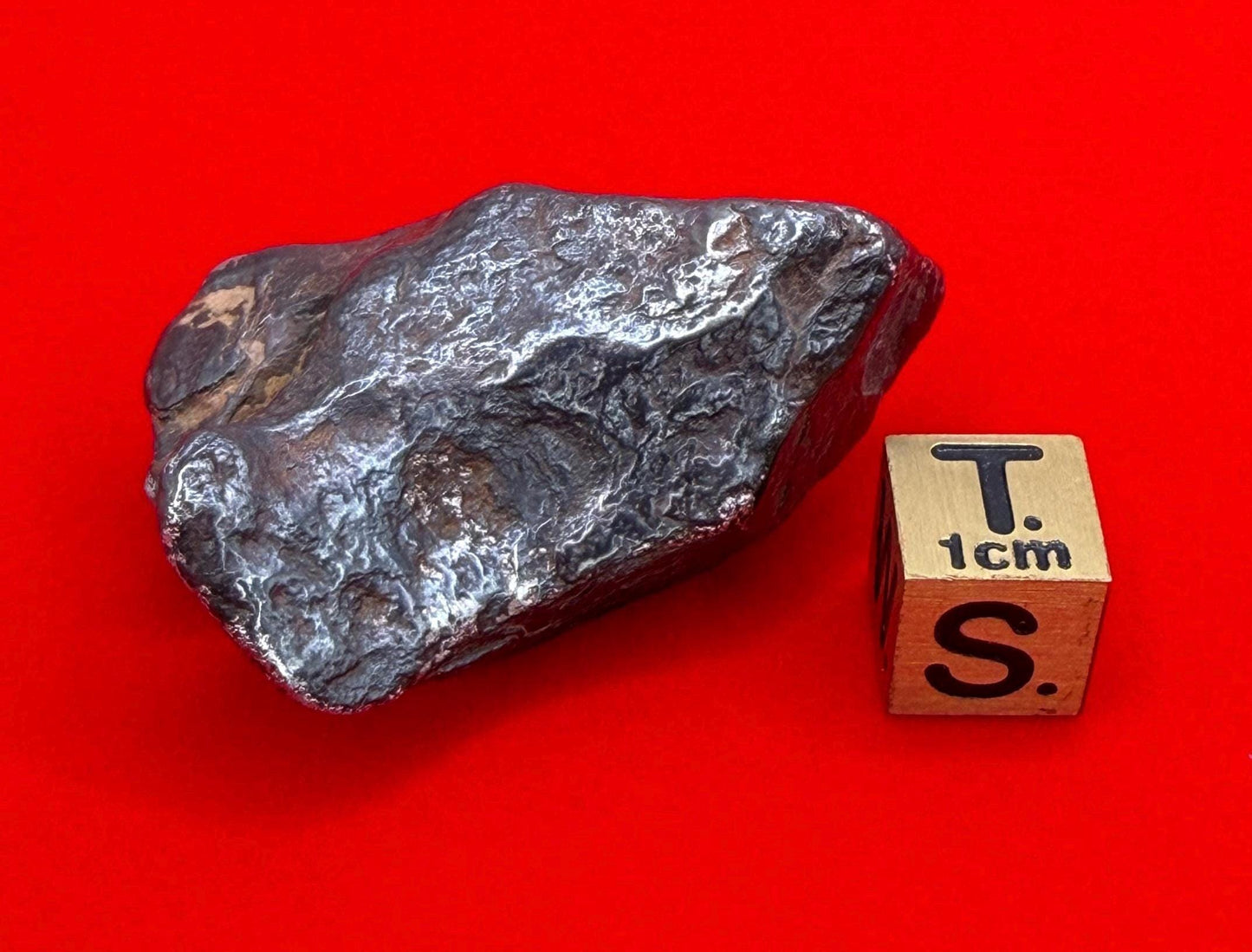 Agoudal Iron Meteorite Specimen: Sculptural Meteorite, Authentic Meteorite, IIAB Hexahedrite, 49.29 grams