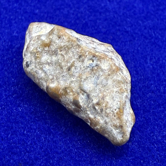 NWA 13974 Lunar Meteorite: Feldspathic Breccia Moon Rock, 0.71 grams