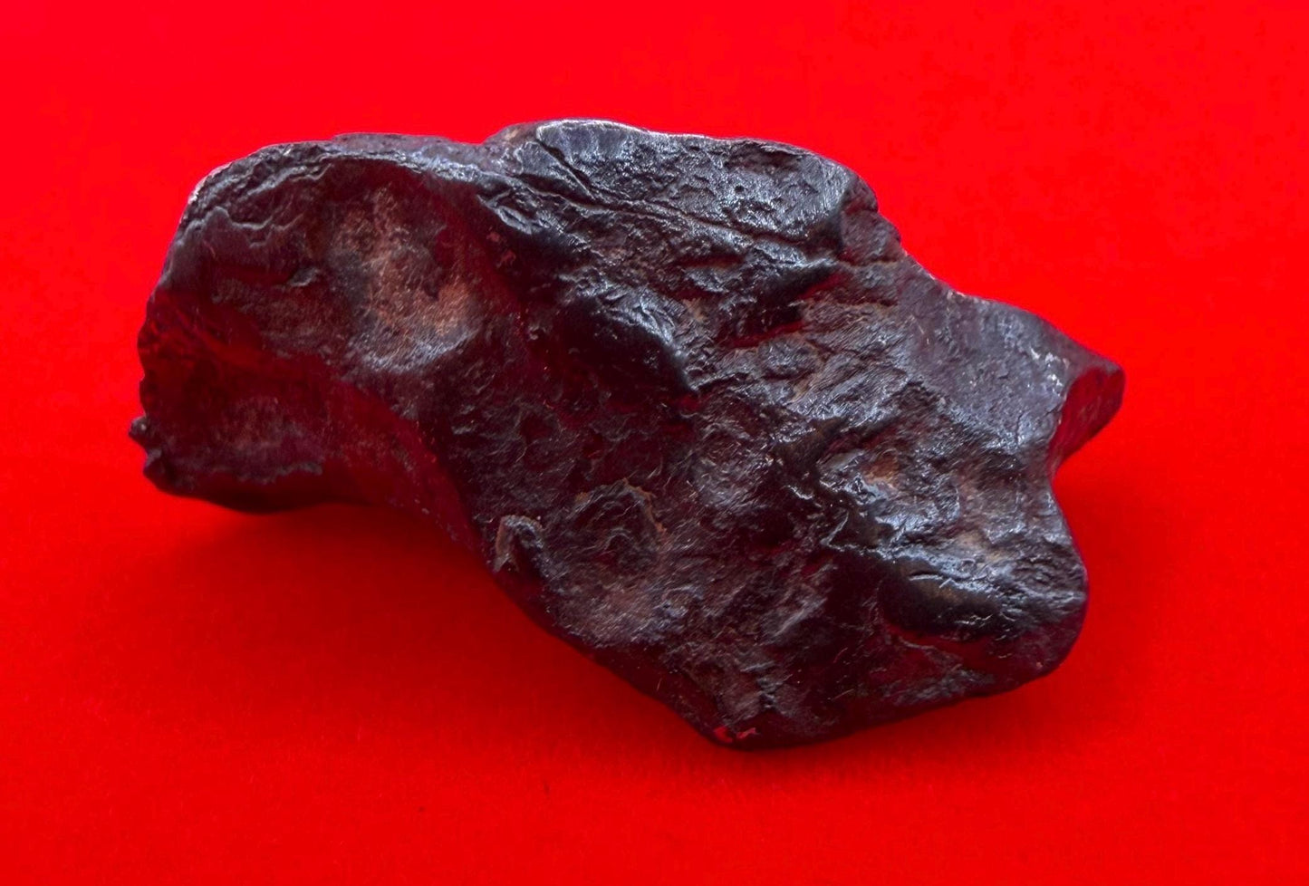 Agoudal Iron Meteorite Specimen: Sculptural Meteorite, Authentic Meteorite, IIAB Hexahedrite, 11.07 grams