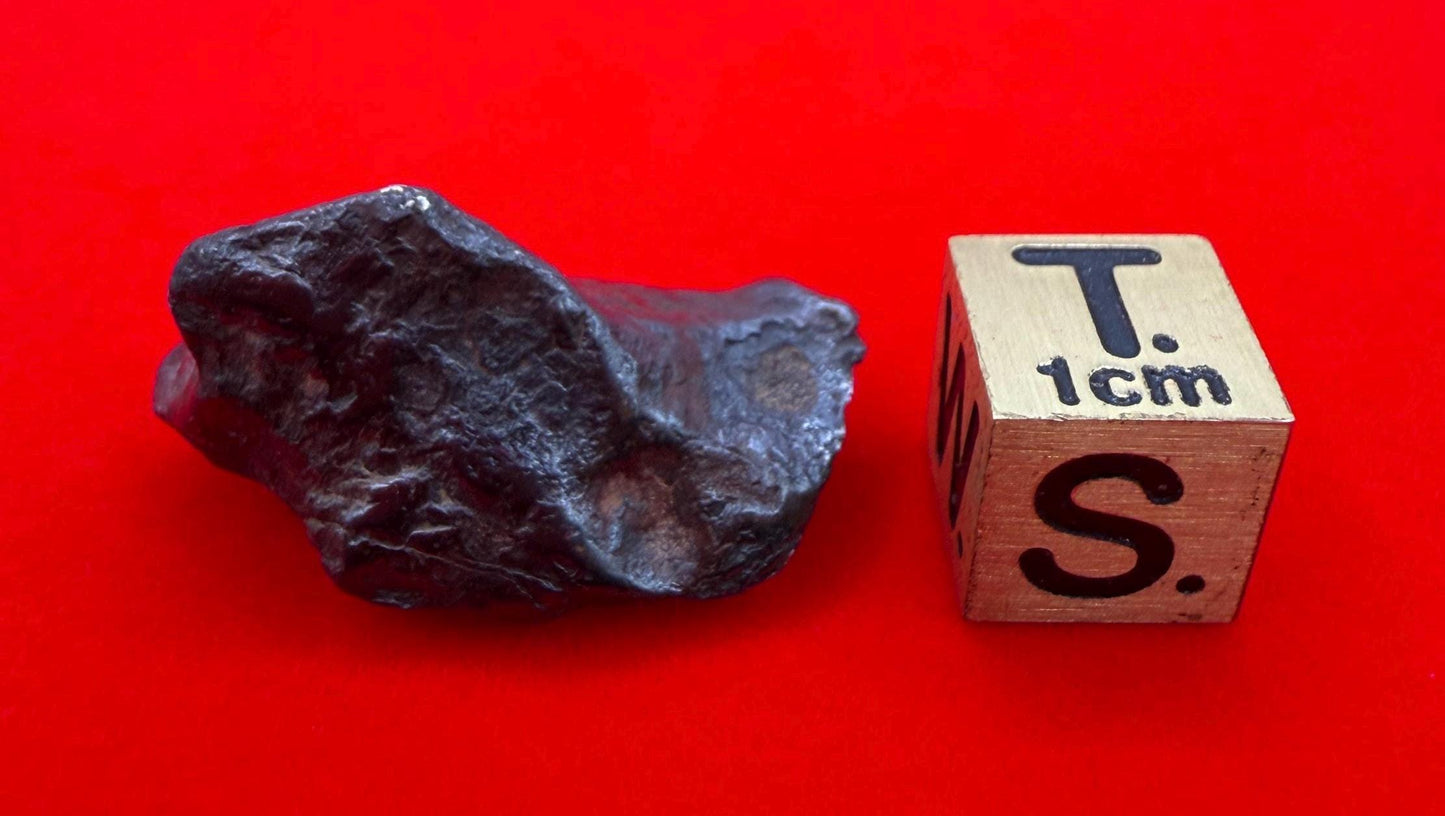 Agoudal Iron Meteorite Specimen: Sculptural Meteorite, Authentic Meteorite, IIAB Hexahedrite, 11.07 grams