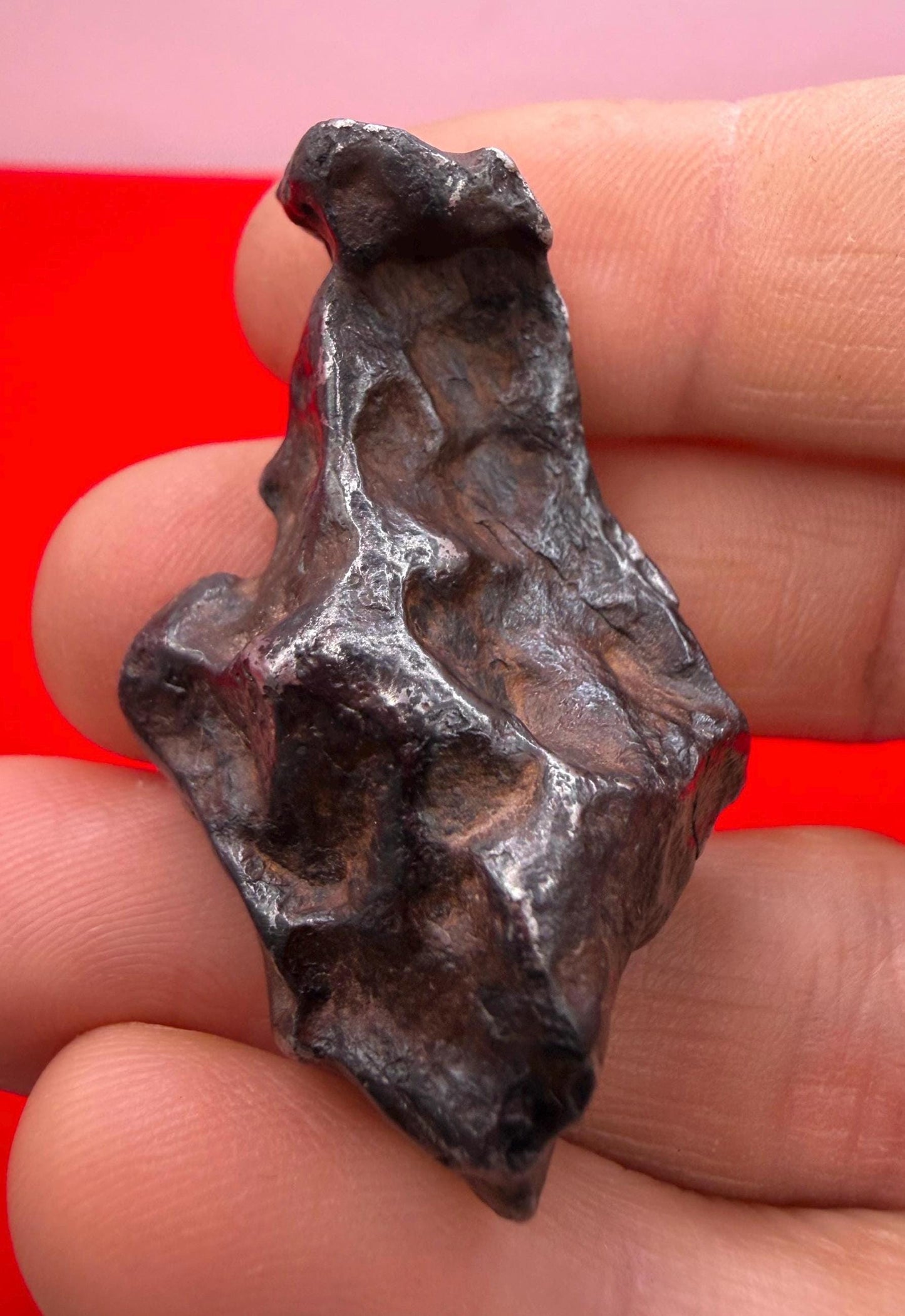 Agoudal Iron Meteorite Specimen: Sculptural Meteorite, Authentic Meteorite, IIAB Hexahedrite, 43.29 grams