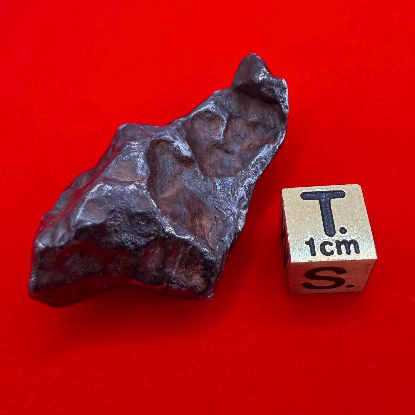 Agoudal Iron Meteorite Specimen: Sculptural Meteorite, Authentic Meteorite, IIAB Hexahedrite, 43.29 grams