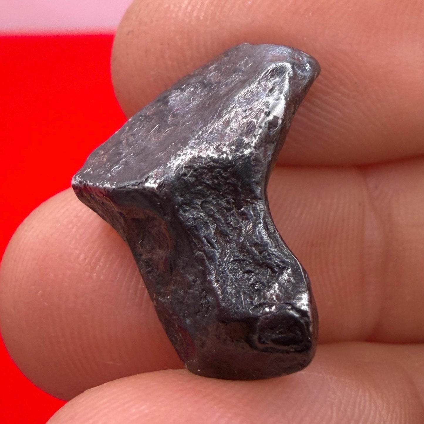 Agoudal Iron Meteorite Specimen: Authentic Meteorite, IIAB Hexahedrite, 8.58 grams