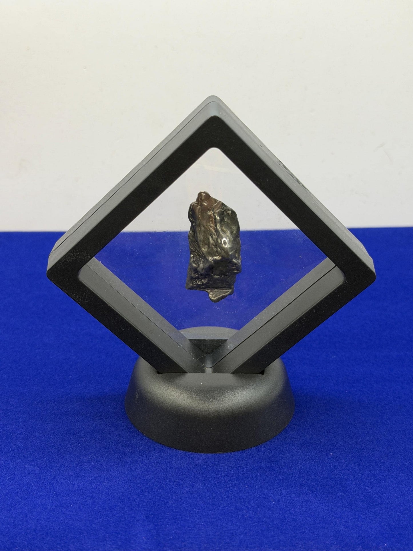 Aletai Iron-Nickel Meteorite Specimen: Astronomy Gift, COA, 24.00g