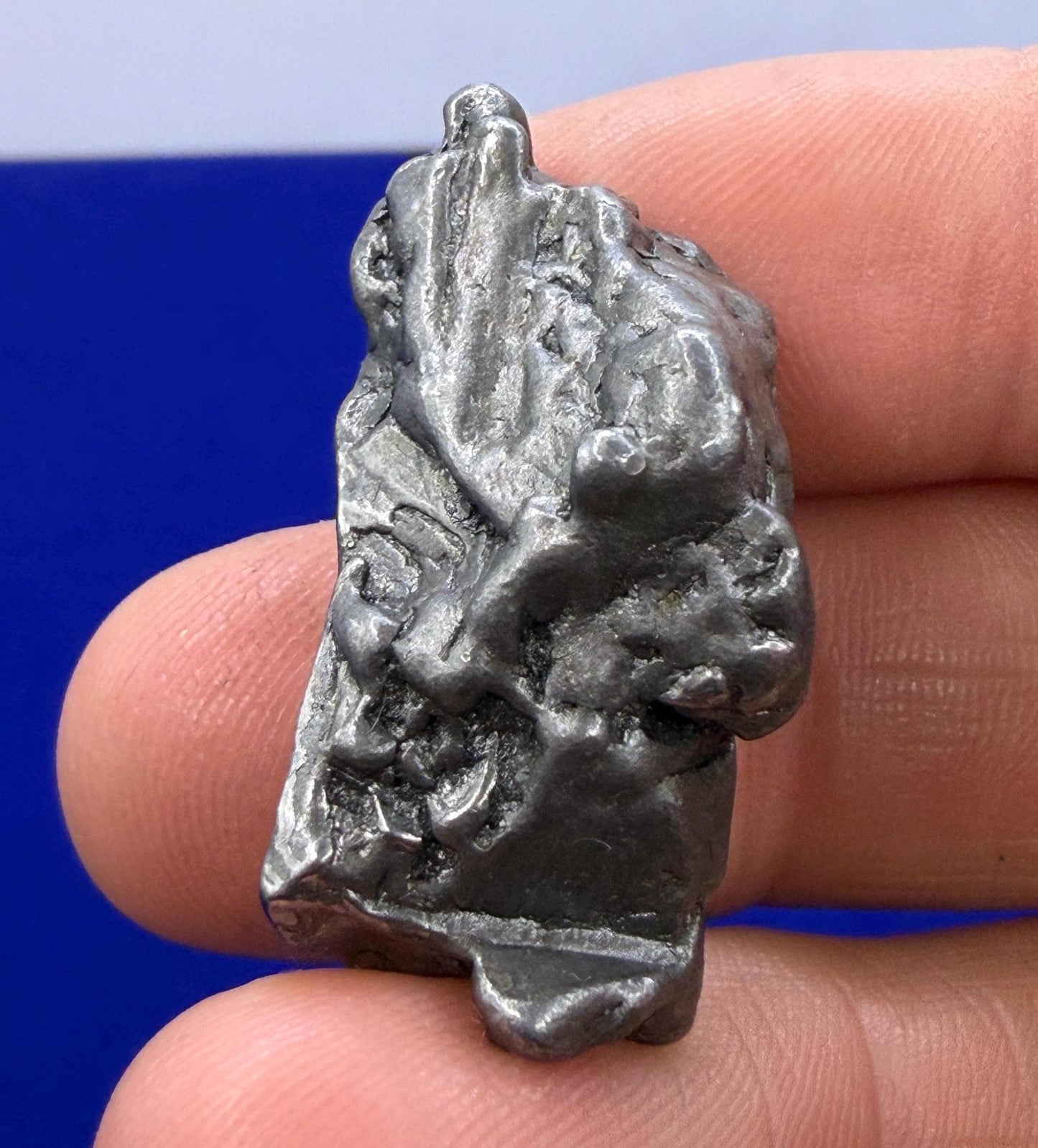 Aletai Iron-Nickel Meteorite Specimen: Astronomy Gift, COA, 24.00g