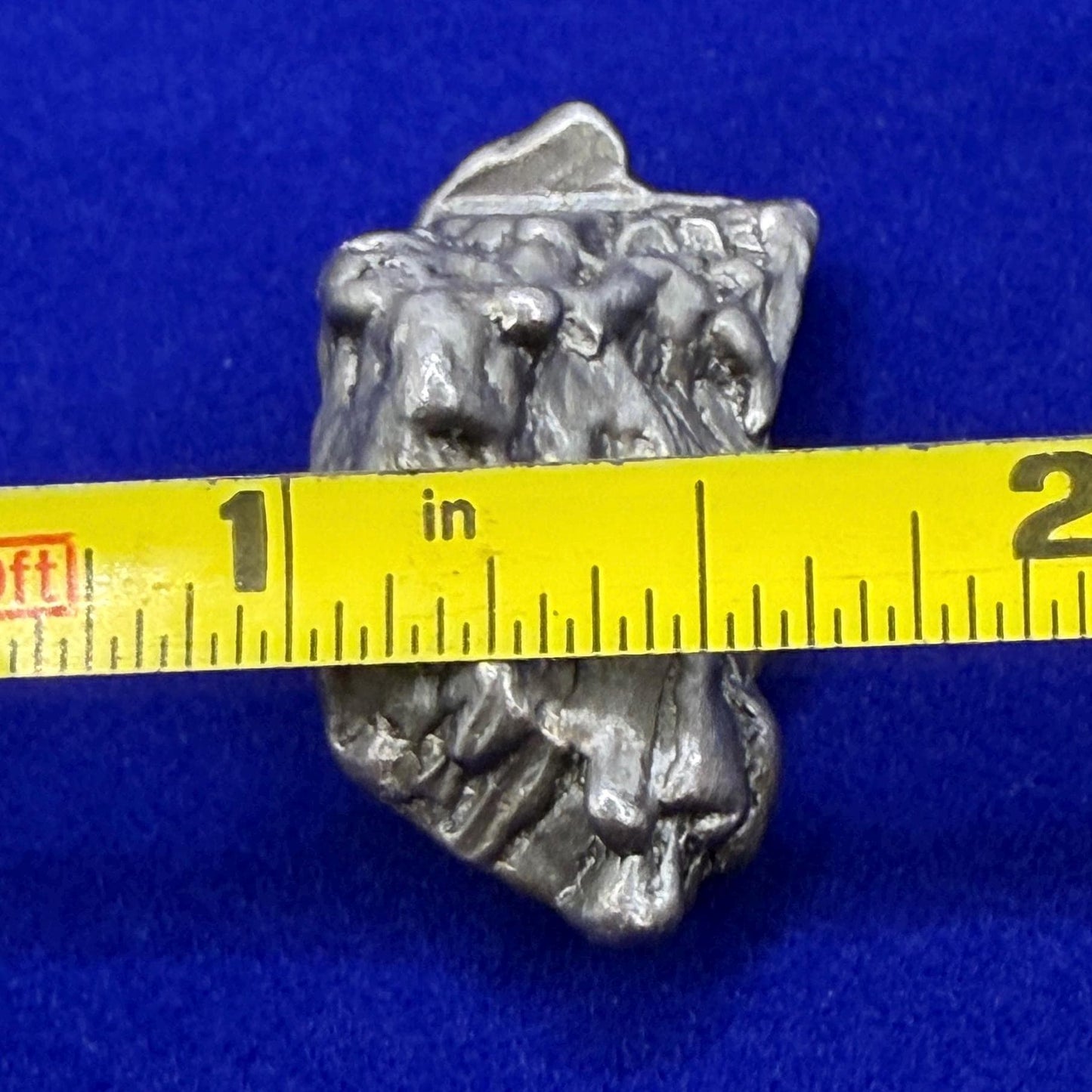 Aletai Iron-Nickel Meteorite Specimen: Astronomy Gift, COA, 24.00g