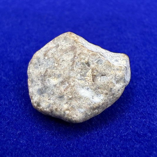 NWA 13974 Lunar Meteorite: Feldspathic Breccia Moon Rock, 1.29 grams