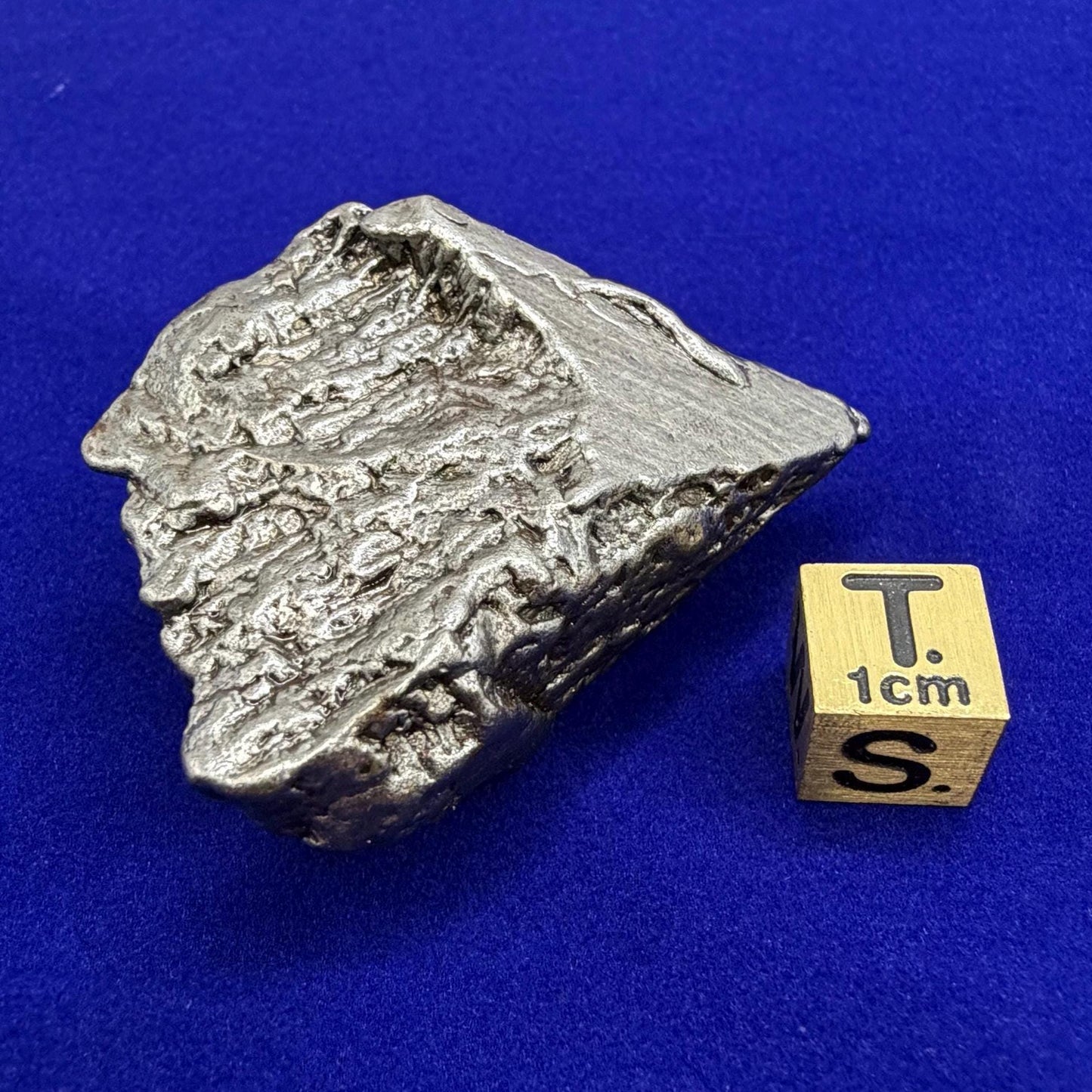 Aletai Iron-Nickel Meteorite Specimen: Astronomy Gift, COA, 99.40g