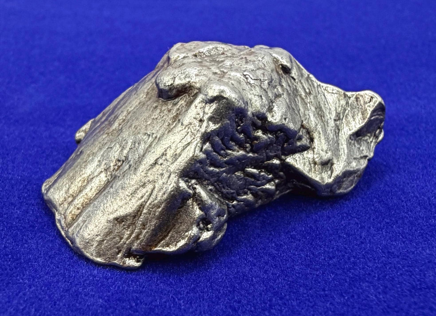 Aletai Iron-Nickel Meteorite Specimen: Astronomy Gift, COA, 40.65g