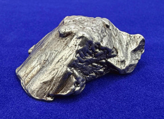 Aletai Iron-Nickel Meteorite Specimen: Astronomy Gift, COA, 40.65g