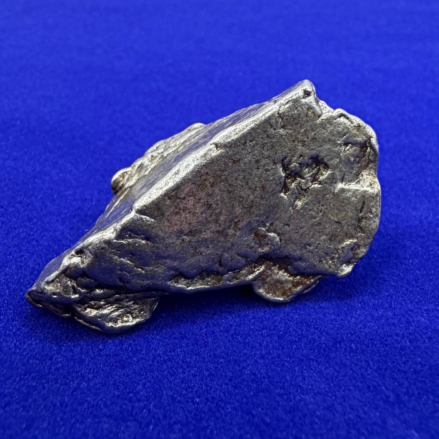 Aletai Iron-Nickel Meteorite Specimen: Astronomy Gift, COA, 40.65g